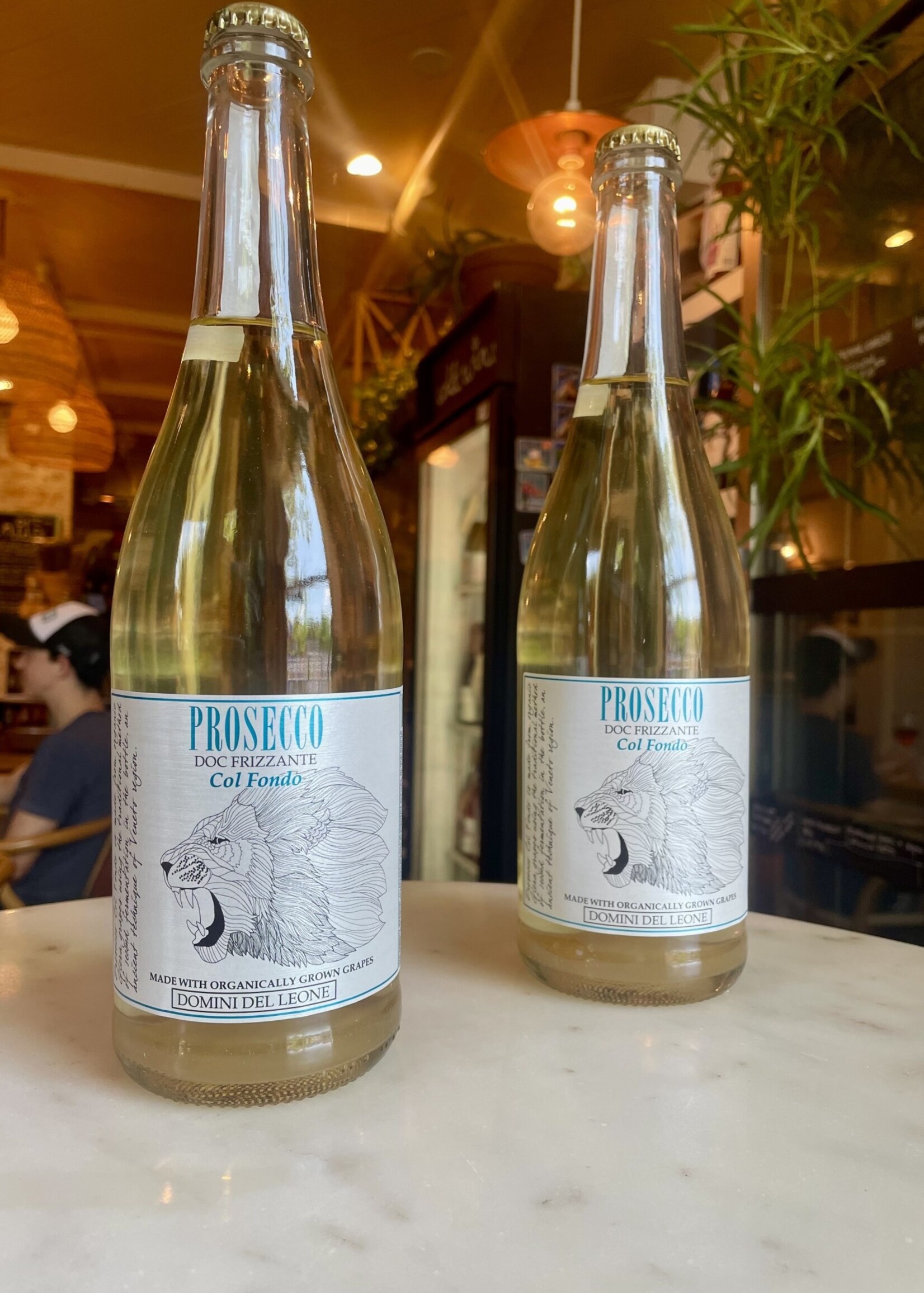 Domini del Leone Prosecco DOC Frizzante’Col Fondo’, Veneto, Italy