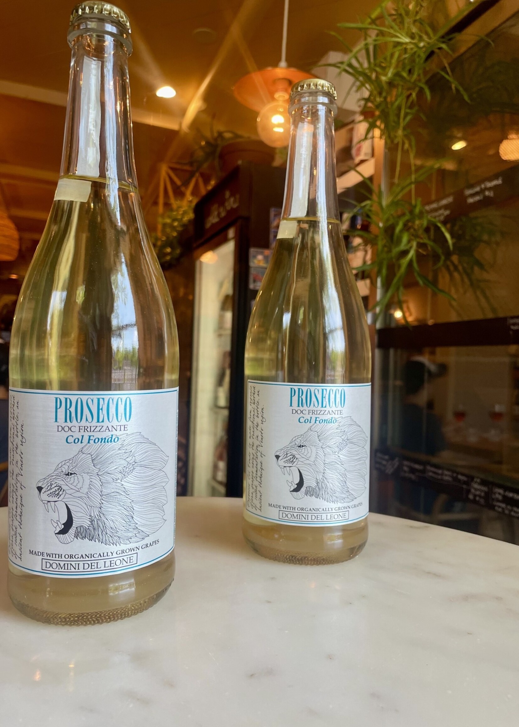 Domini del Leone Prosecco DOC Frizzante’Col Fondo’, Veneto, Italy