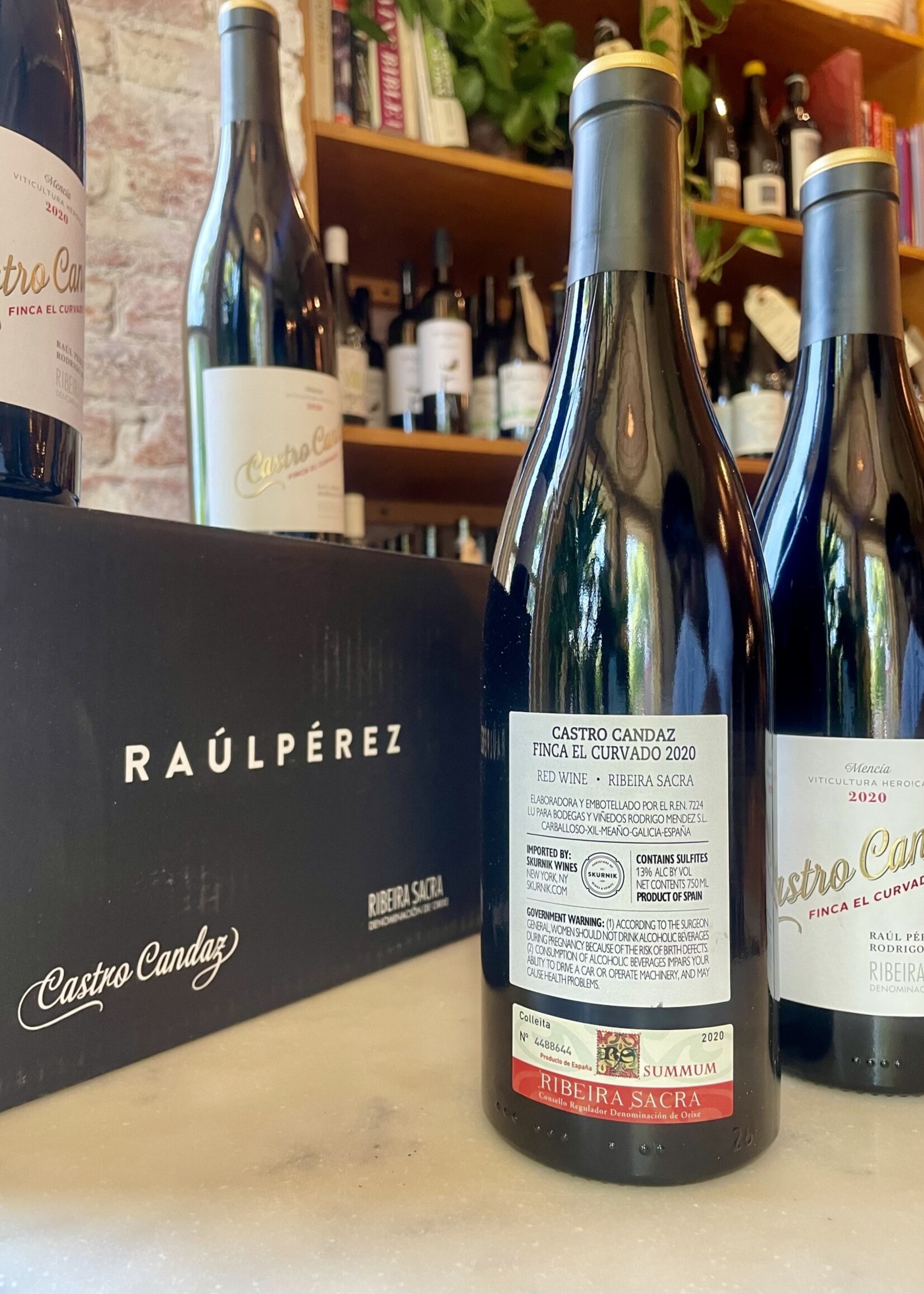 Raúl Pérez y Rodrigo Méndez, Castro Candaz, Finca El Curvado Tinto, Ribeira Sacra, Spain 2021