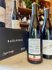 Raúl Pérez y Rodrigo Méndez, Castro Candaz, Finca El Curvado Tinto