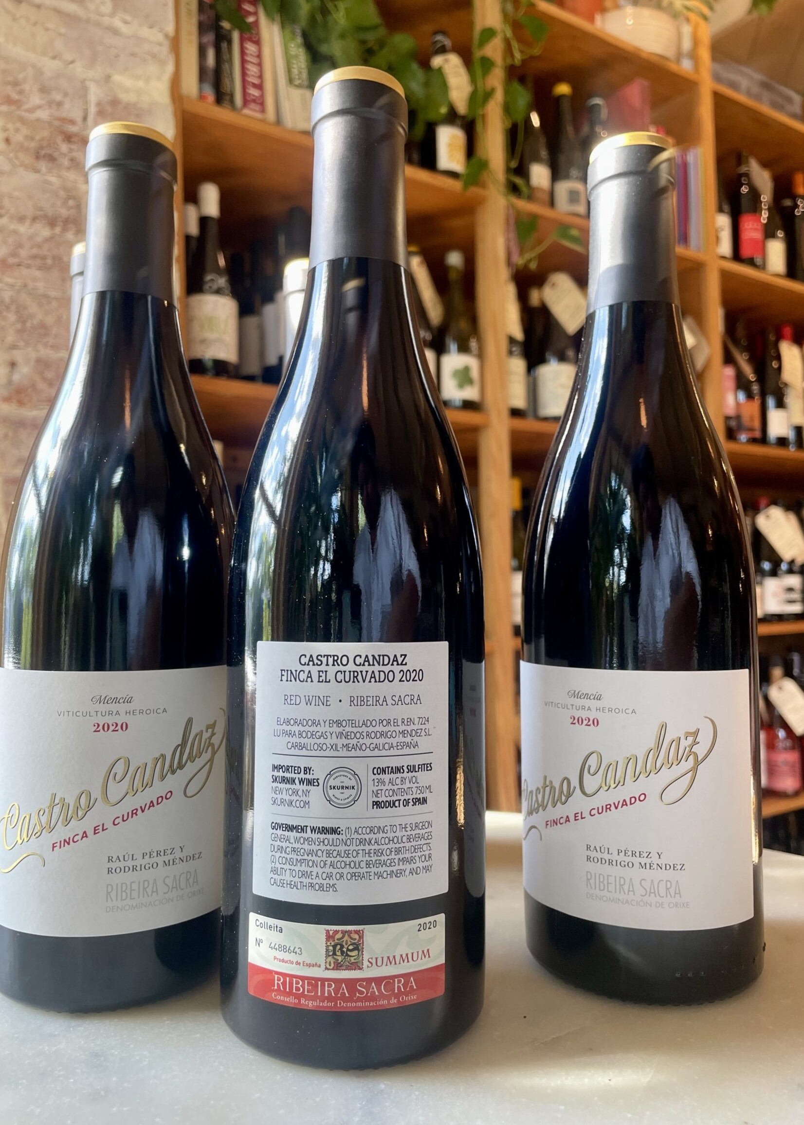 Raúl Pérez y Rodrigo Méndez, Castro Candaz, Finca El Curvado Tinto, Ribeira Sacra, Spain 2021