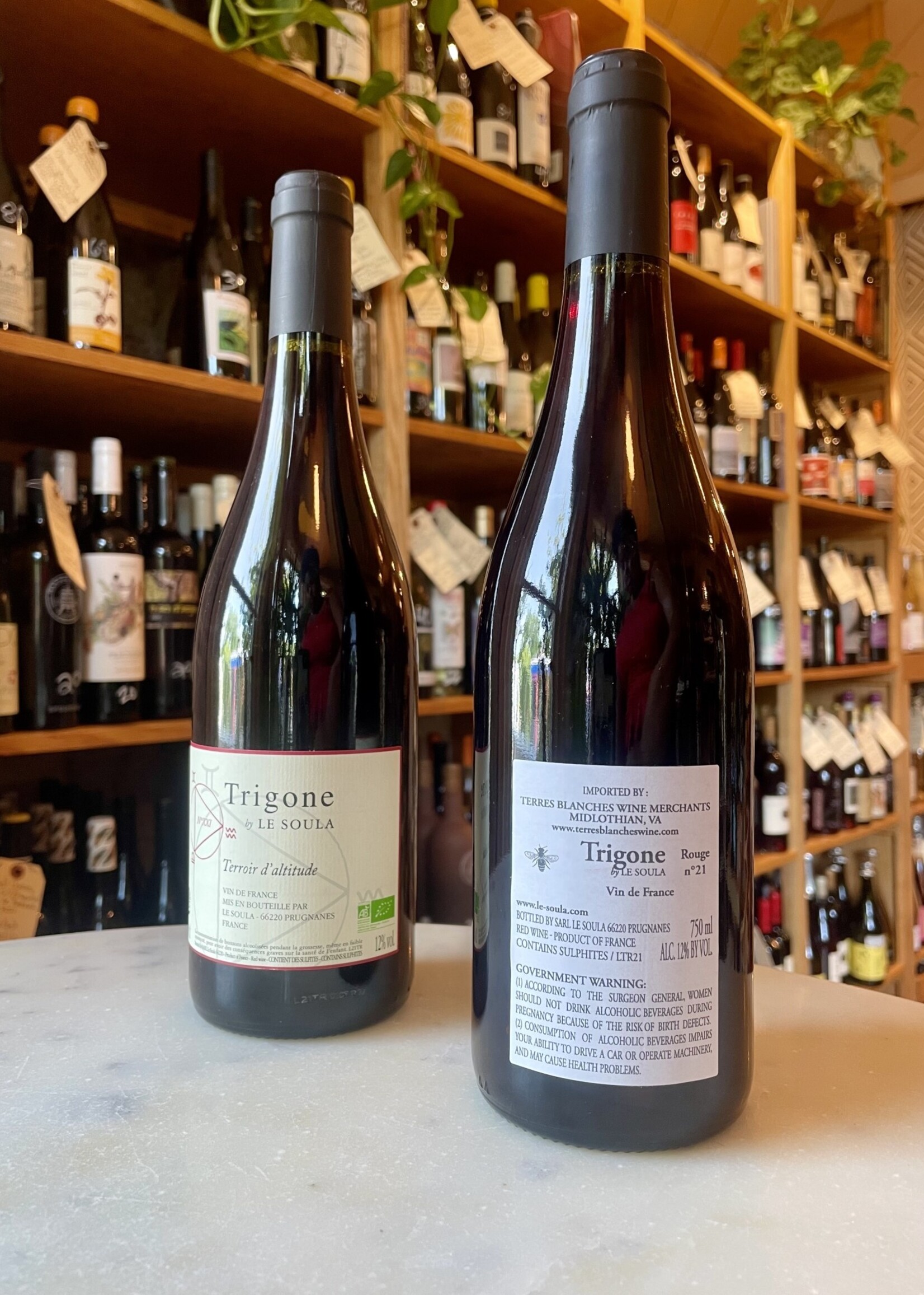 Le Soula Trigone Rouge #21, Roussillon, France