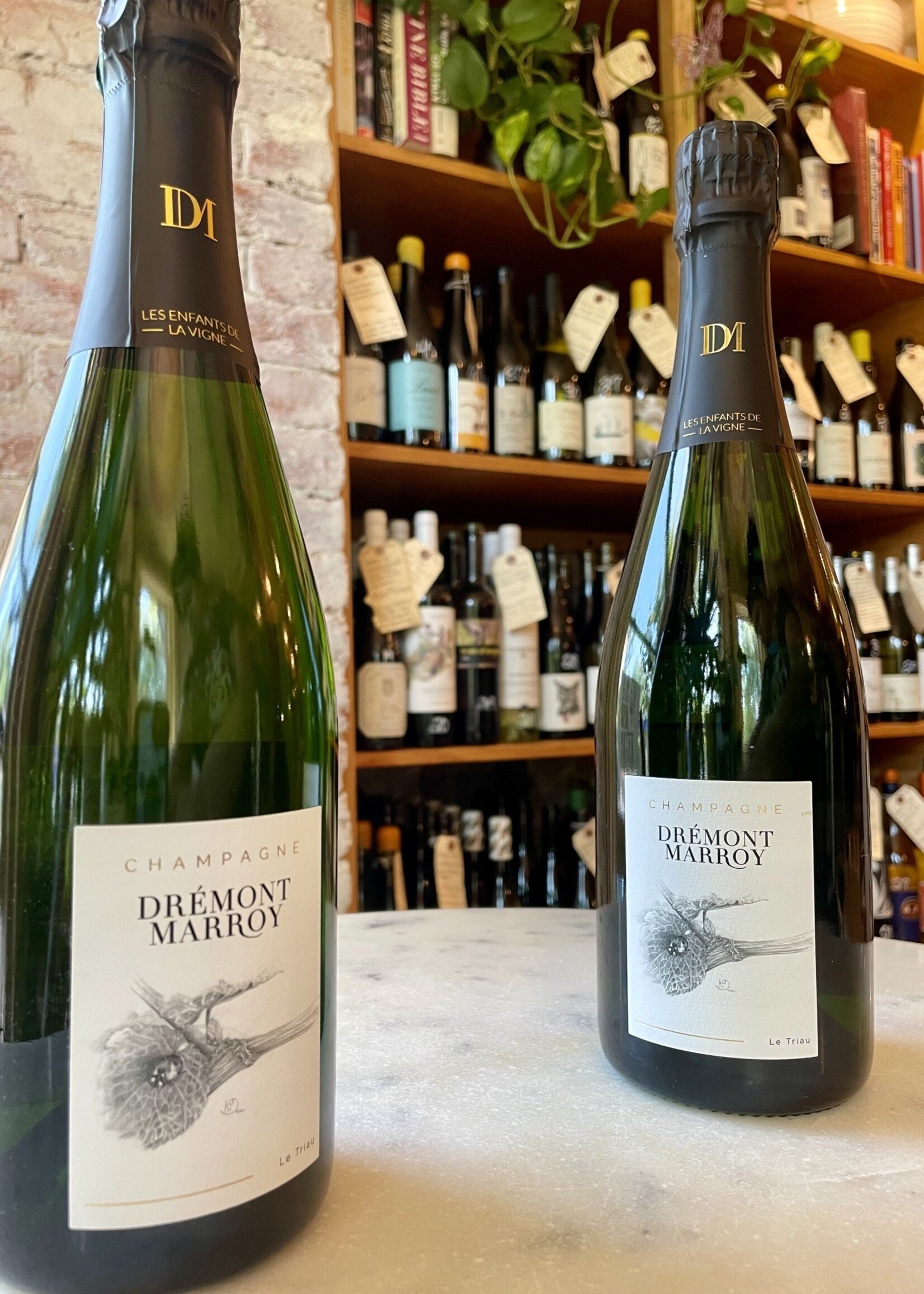 Champagne Dremont-Marroy, Le Triau Extra-Brut, Champagne, France NV