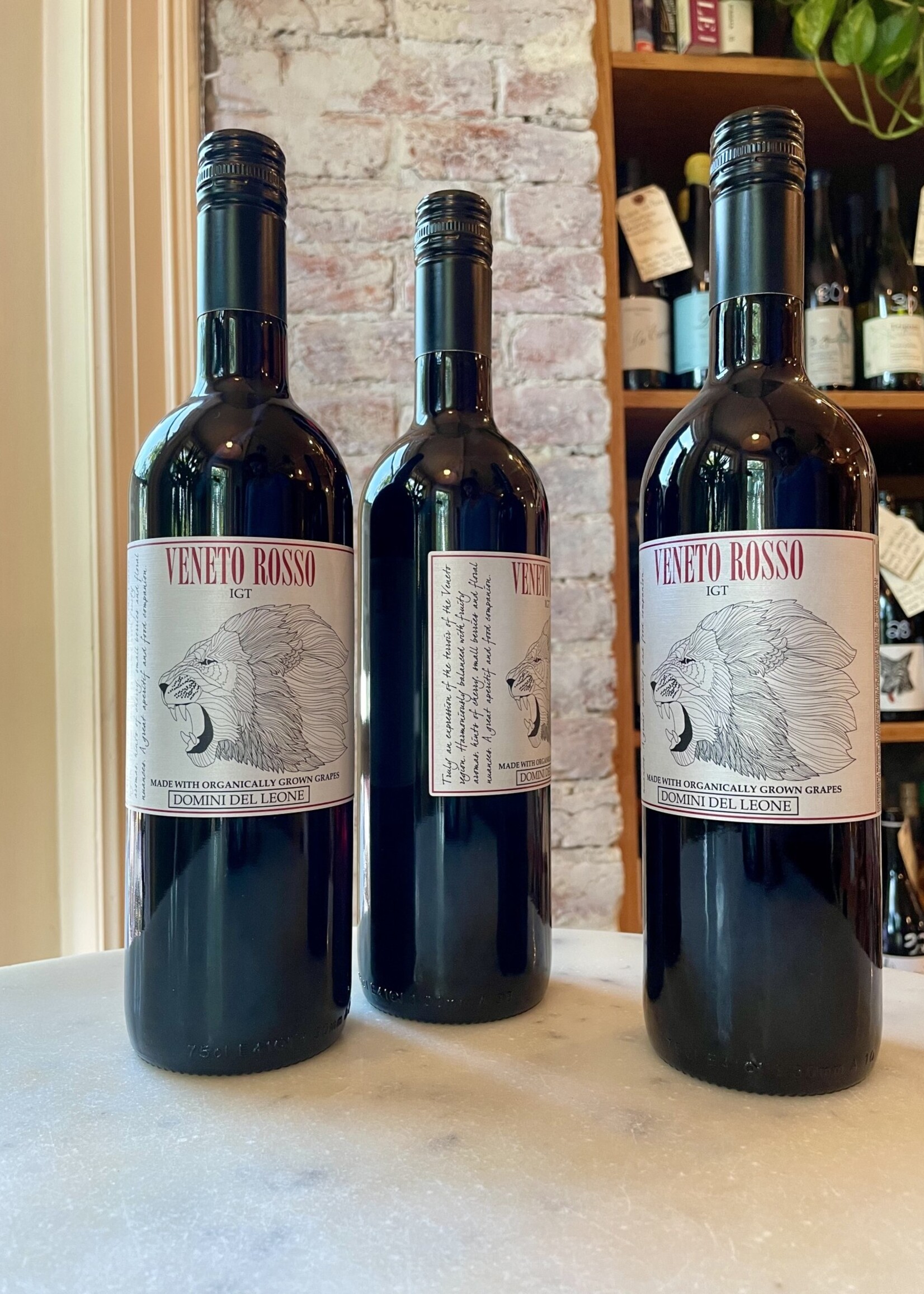 Domini del Leone, Veneto Rosso IGT, Veneto, Italy NV