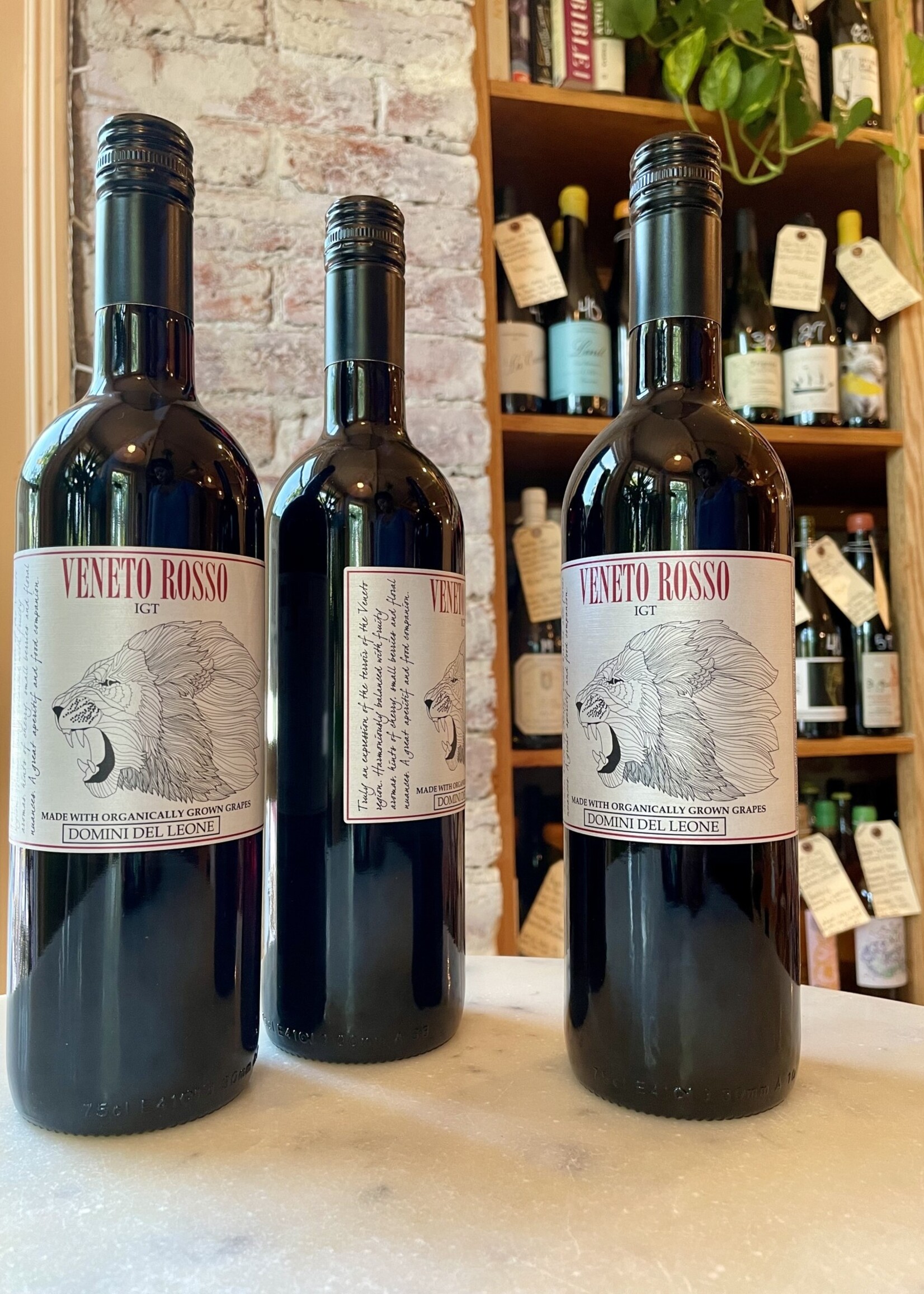 Domini del Leone, Veneto Rosso IGT, Veneto, Italy NV