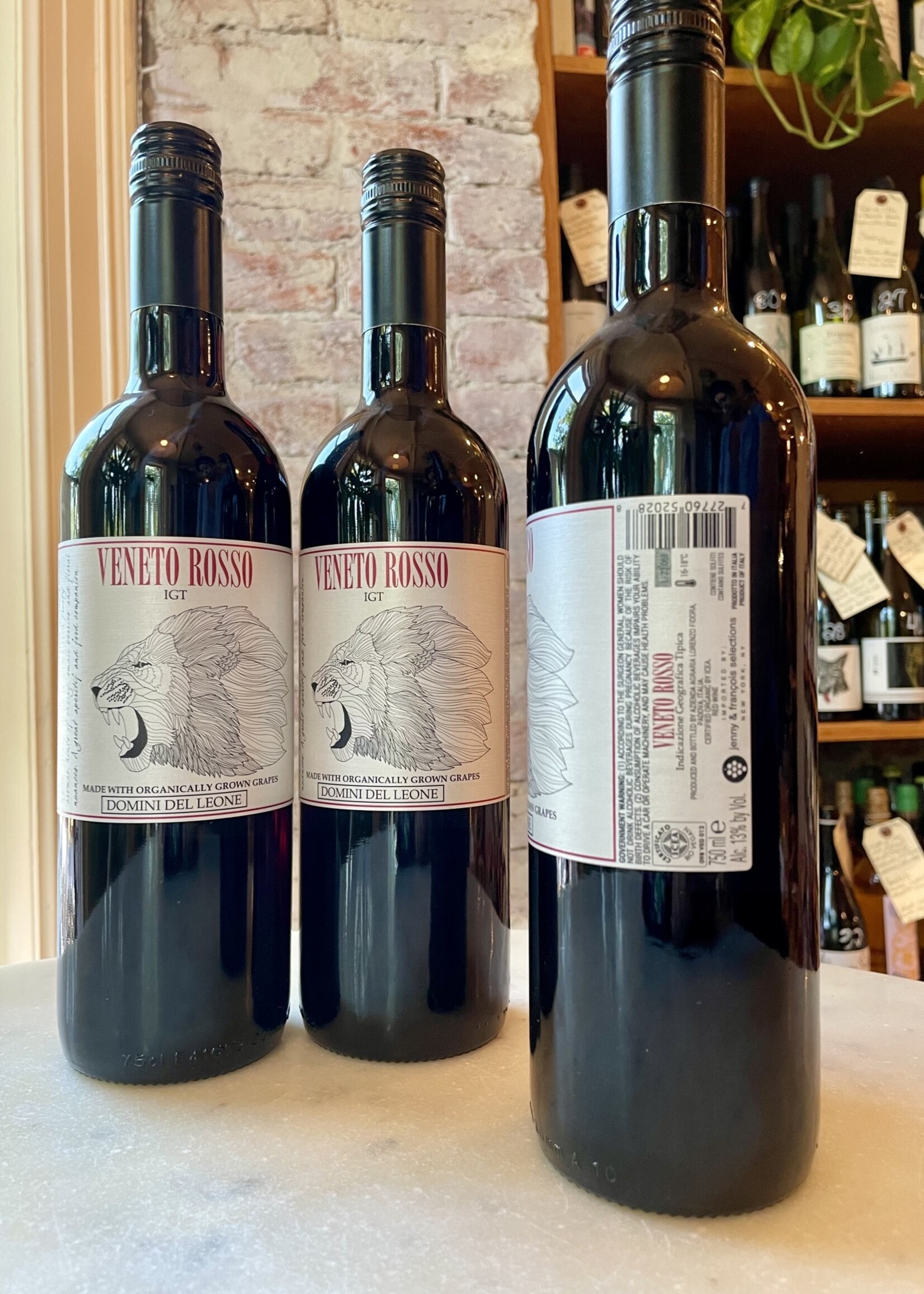 Domini del Leone, Veneto Rosso IGT, Veneto, Italy NV