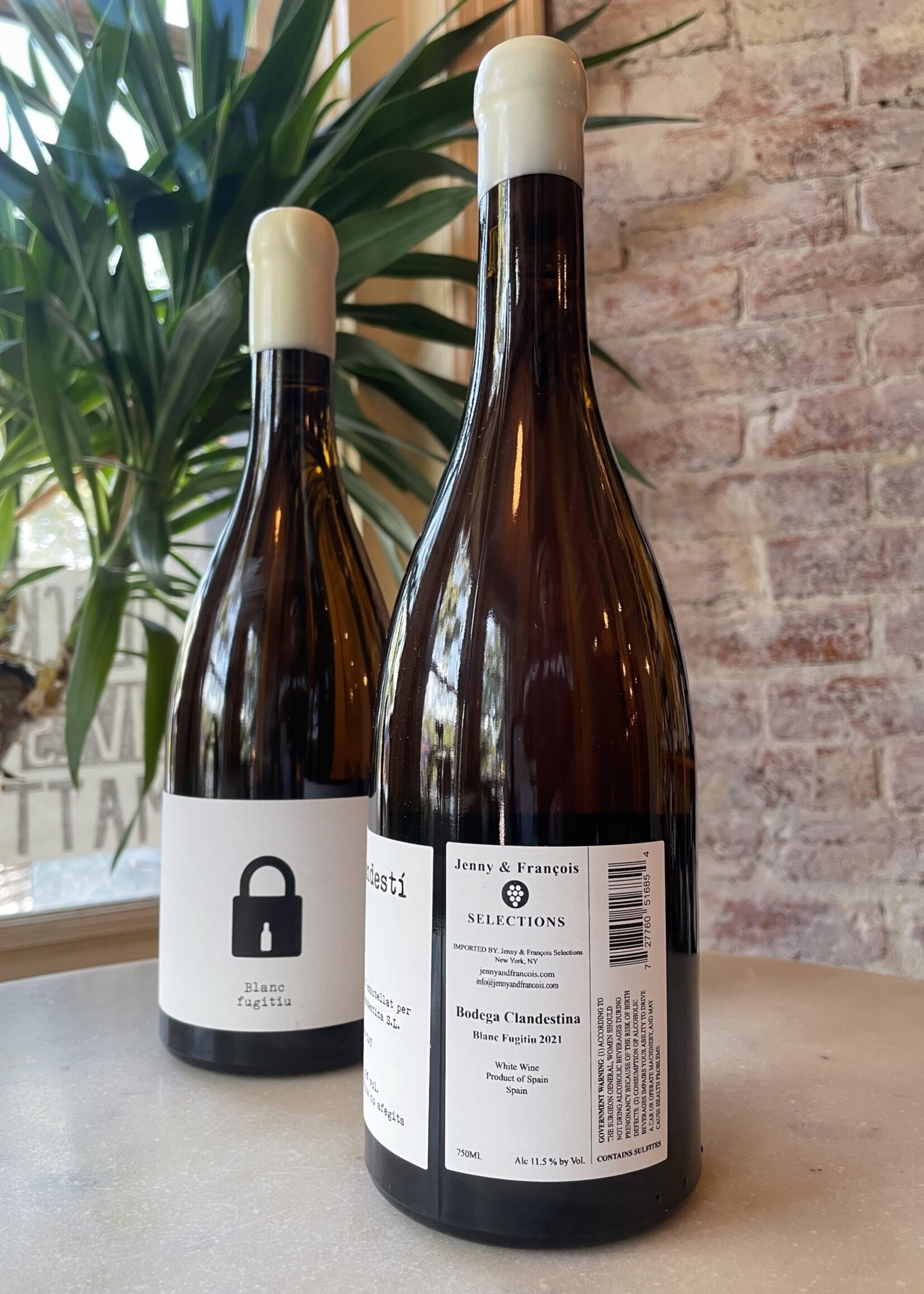 Bodega Clandestina, Blanca Fugitu, Sant Marti Sarroca, Penedès, Catalonia, Spain  2024