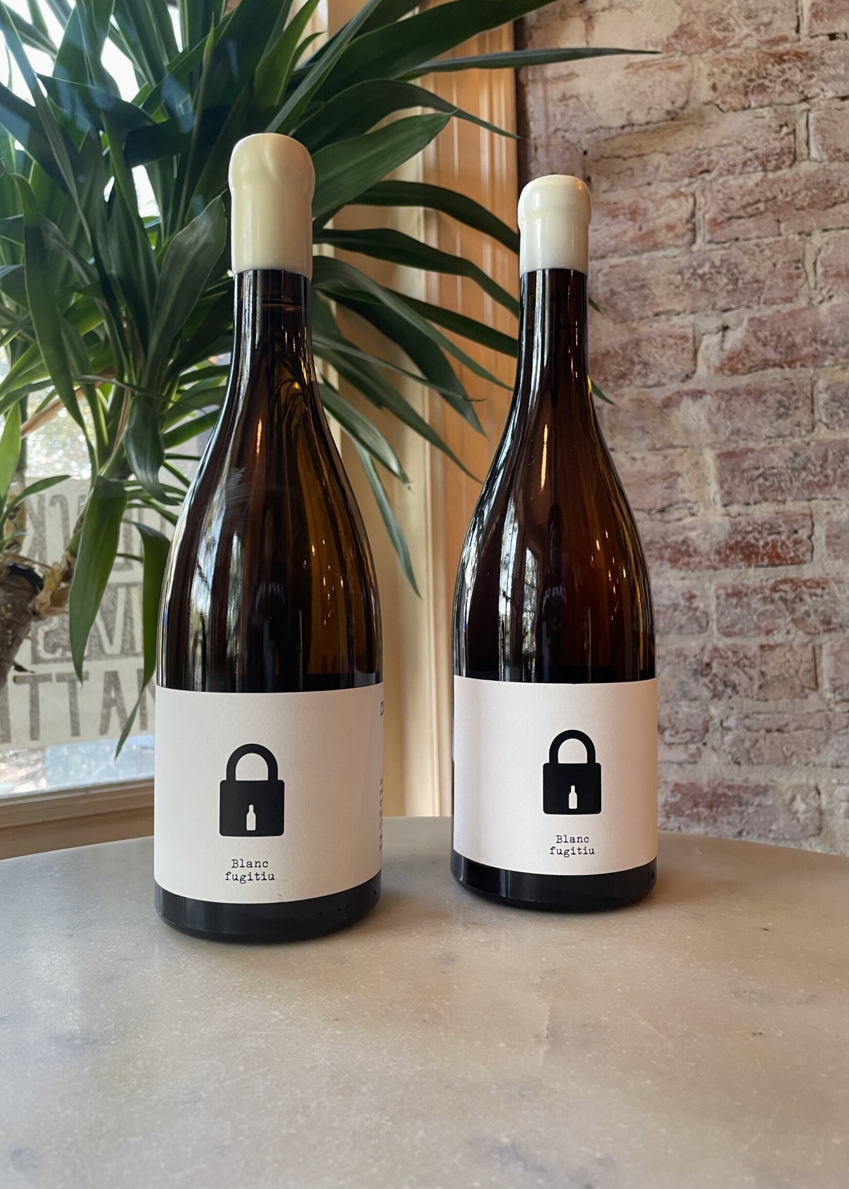 Bodega Clandestina, Blanca Fugitu, Sant Marti Sarroca, Penedès, Catalonia, Spain  2024