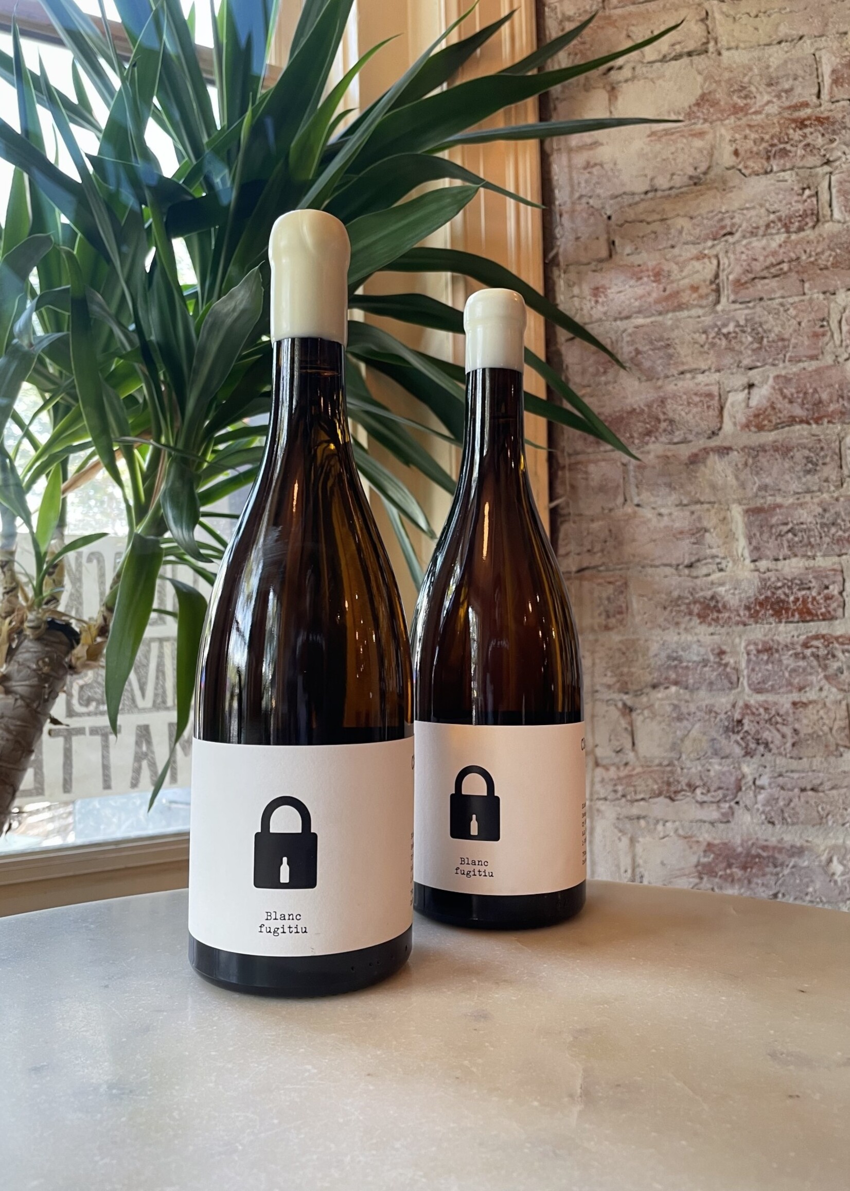 Bodega Clandestina, Blanca Fugitu, Sant Marti Sarroca, Penedès, Catalonia, Spain  2024