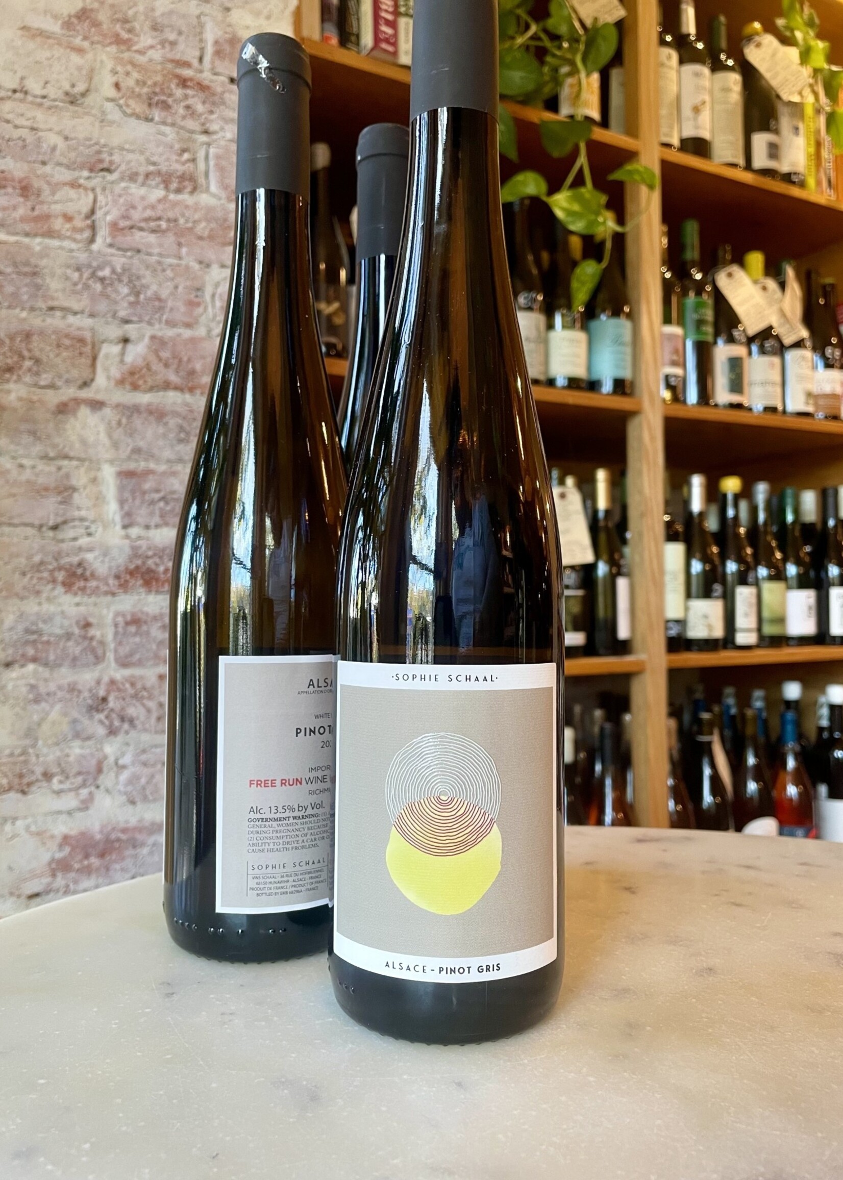 Sophie Schaal, Pinot Gris, Alsace, France 2023