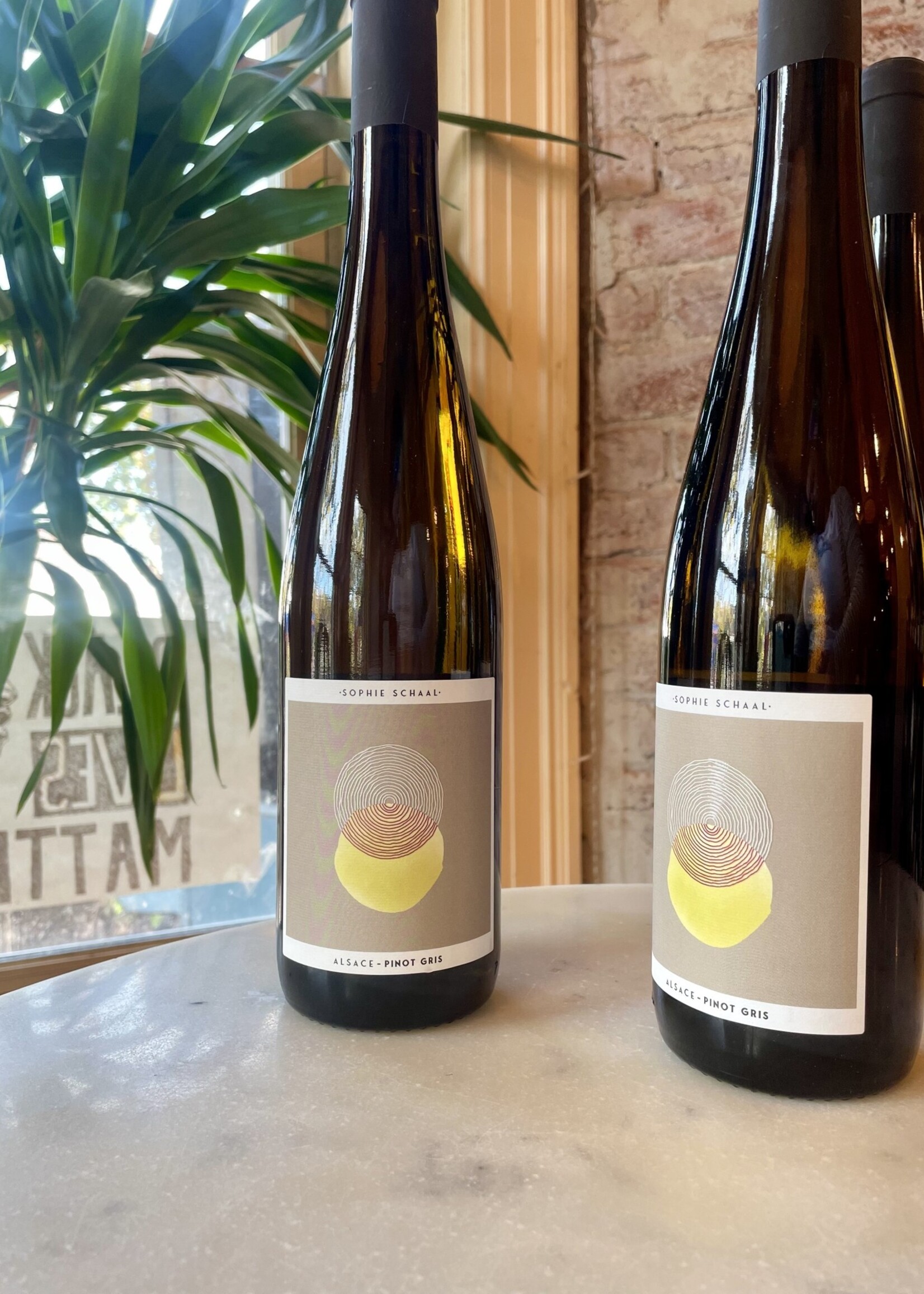 Sophie Schaal, Pinot Gris, Alsace, France 2023