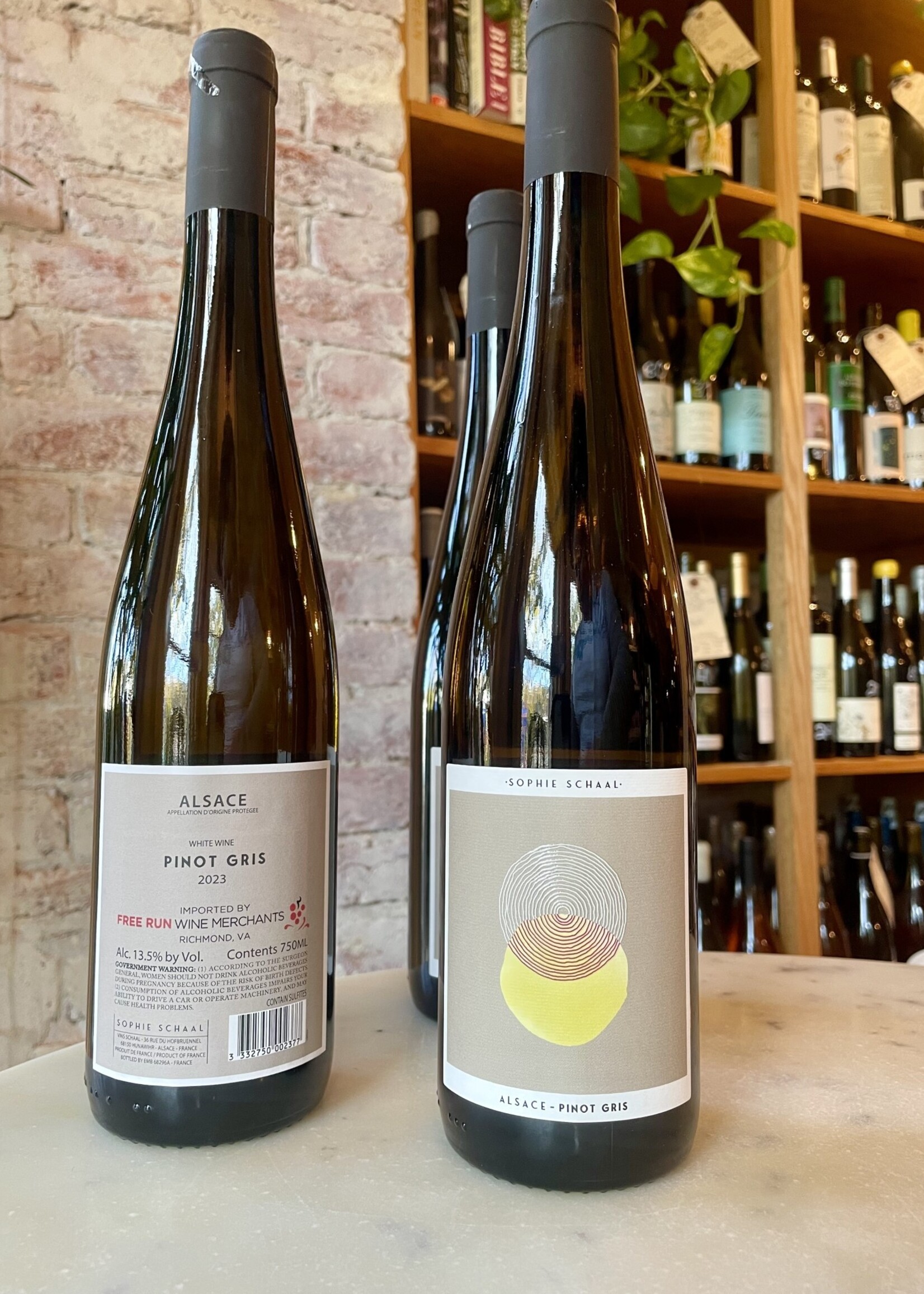 Sophie Schaal, Pinot Gris, Alsace, France 2023