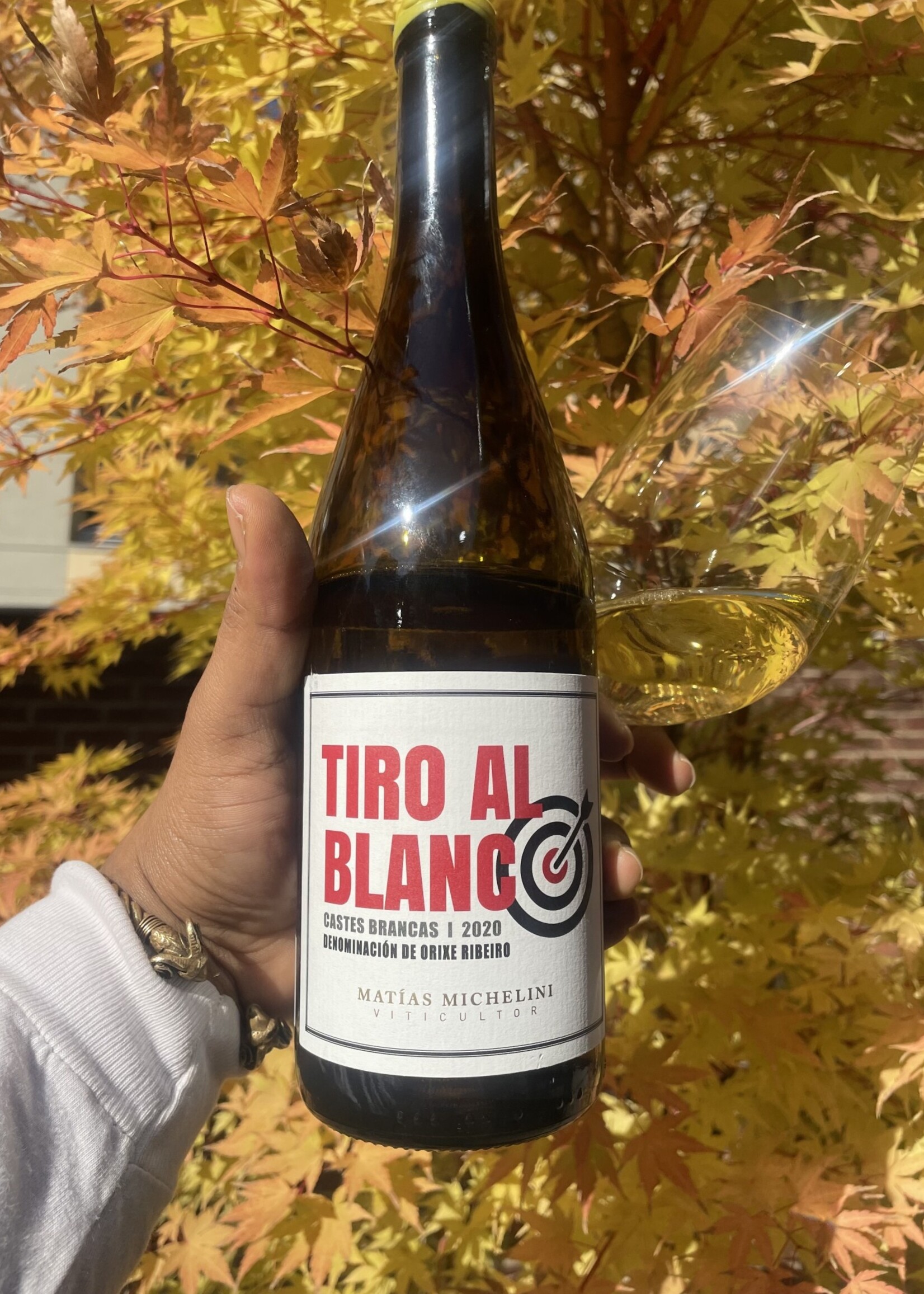 Michelini Tiro Al Blanco, Galicia, Spain 2020