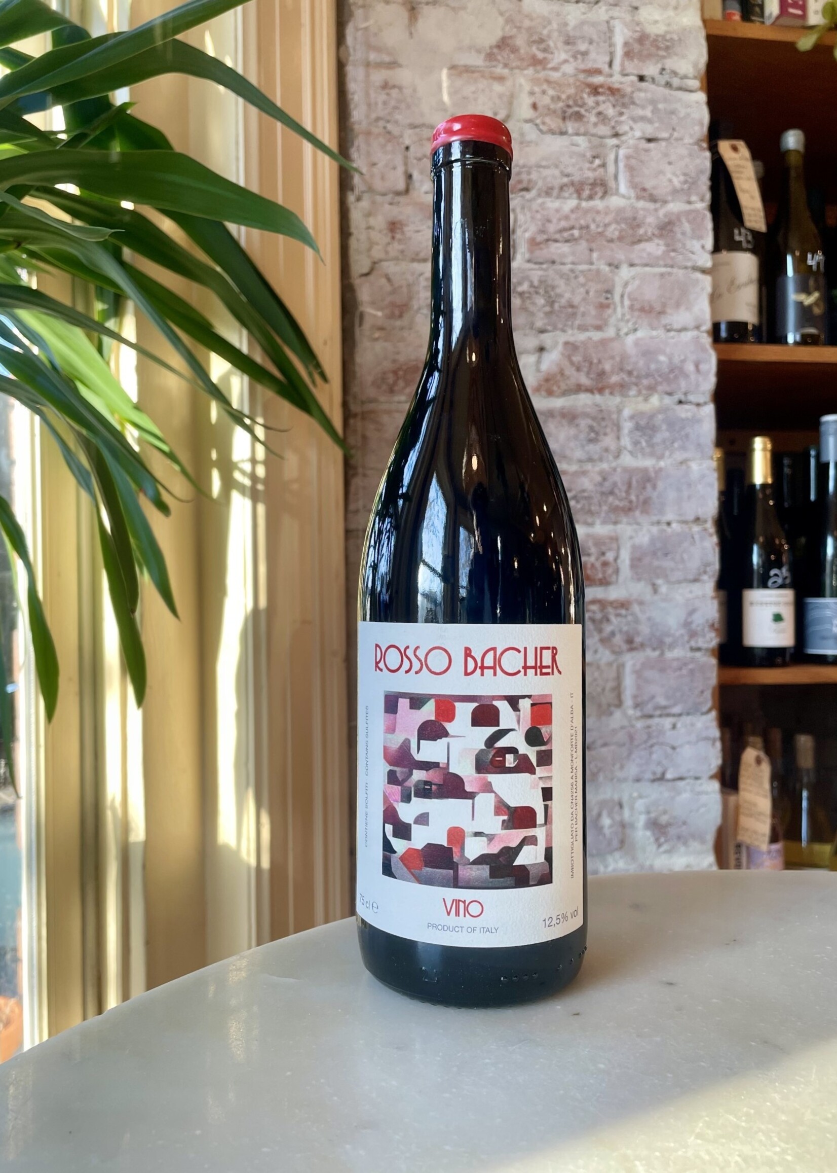 Marisa Bacher, Rosso Bacher, Langhe, Piedmont, Italy 2021