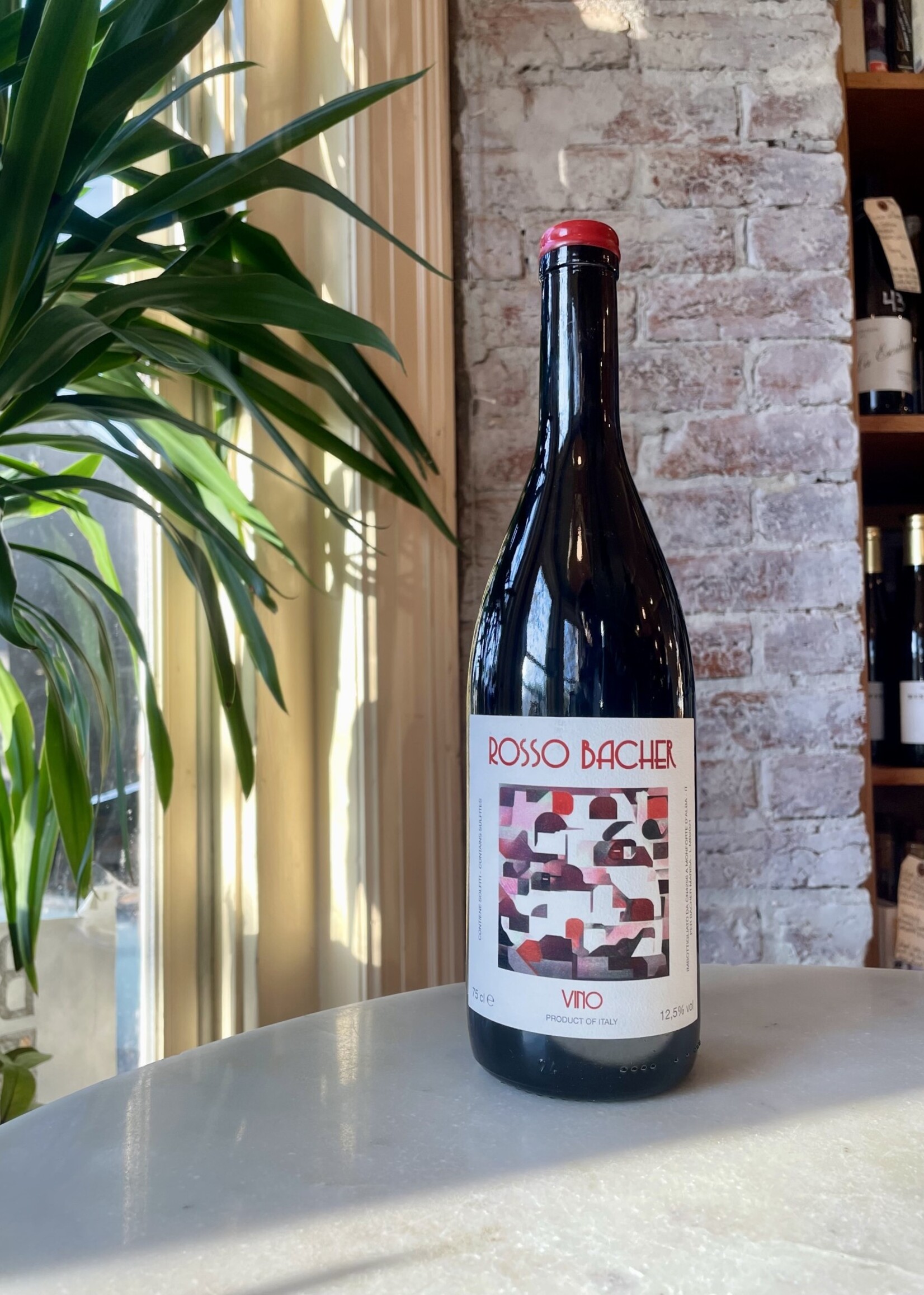 Marisa Bacher, Rosso Bacher, Langhe, Piedmont, Italy 2021