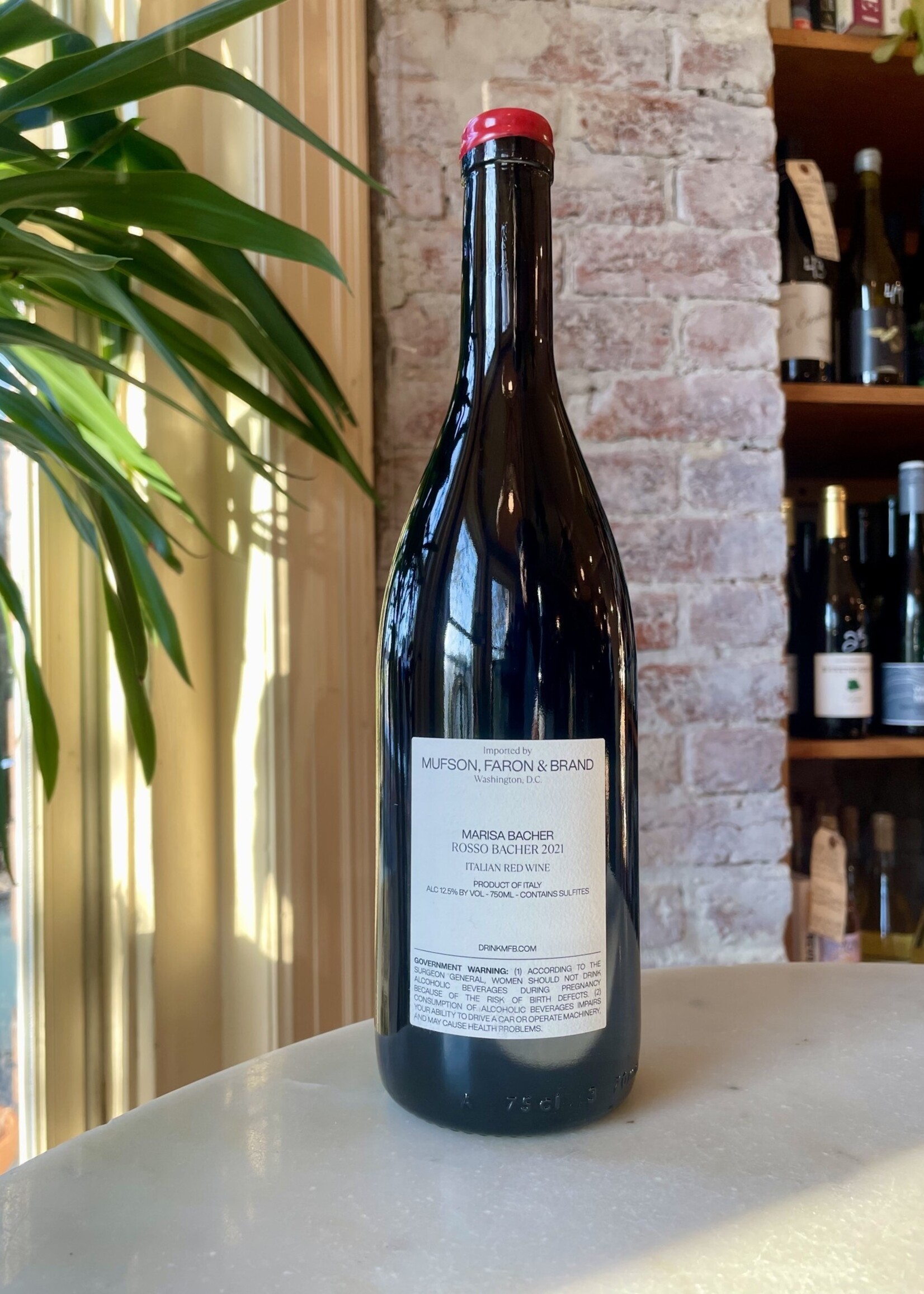 Marisa Bacher, Rosso Bacher, Langhe, Piedmont, Italy 2021