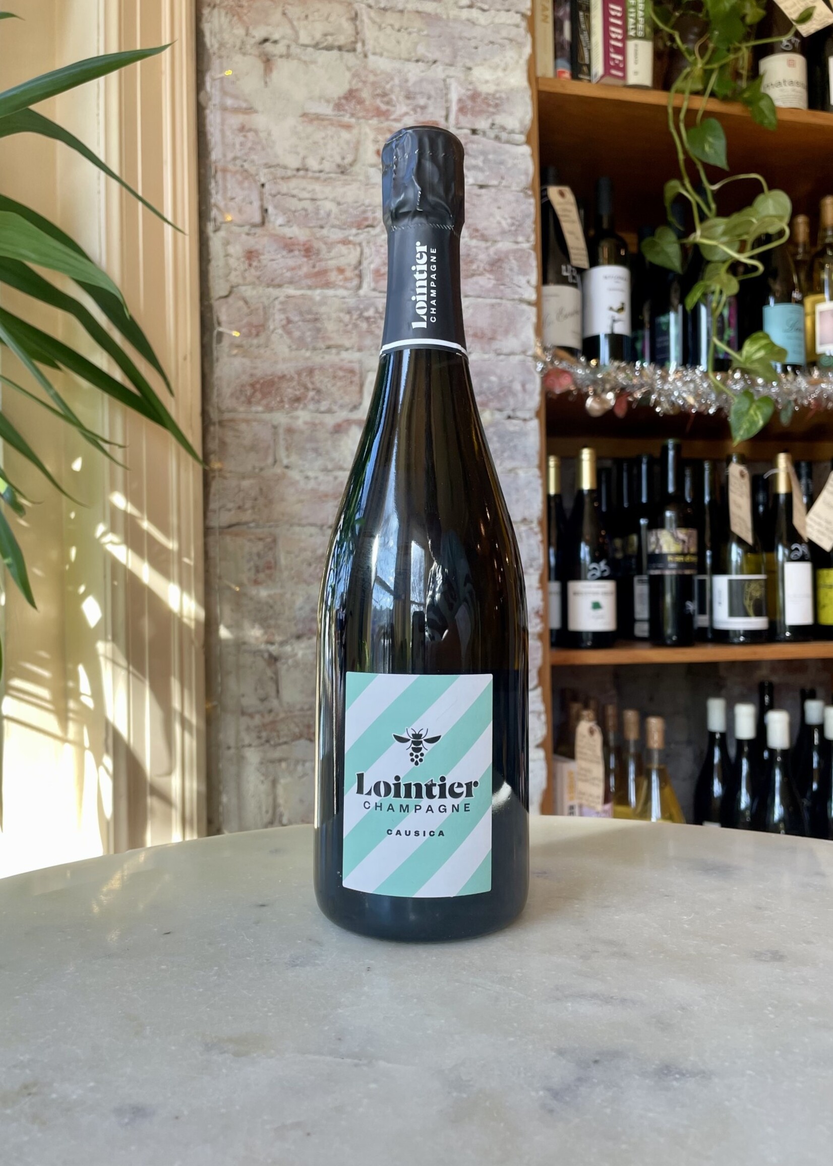Champagne Lointier, Causica Extra Brut, Champagne, France NV