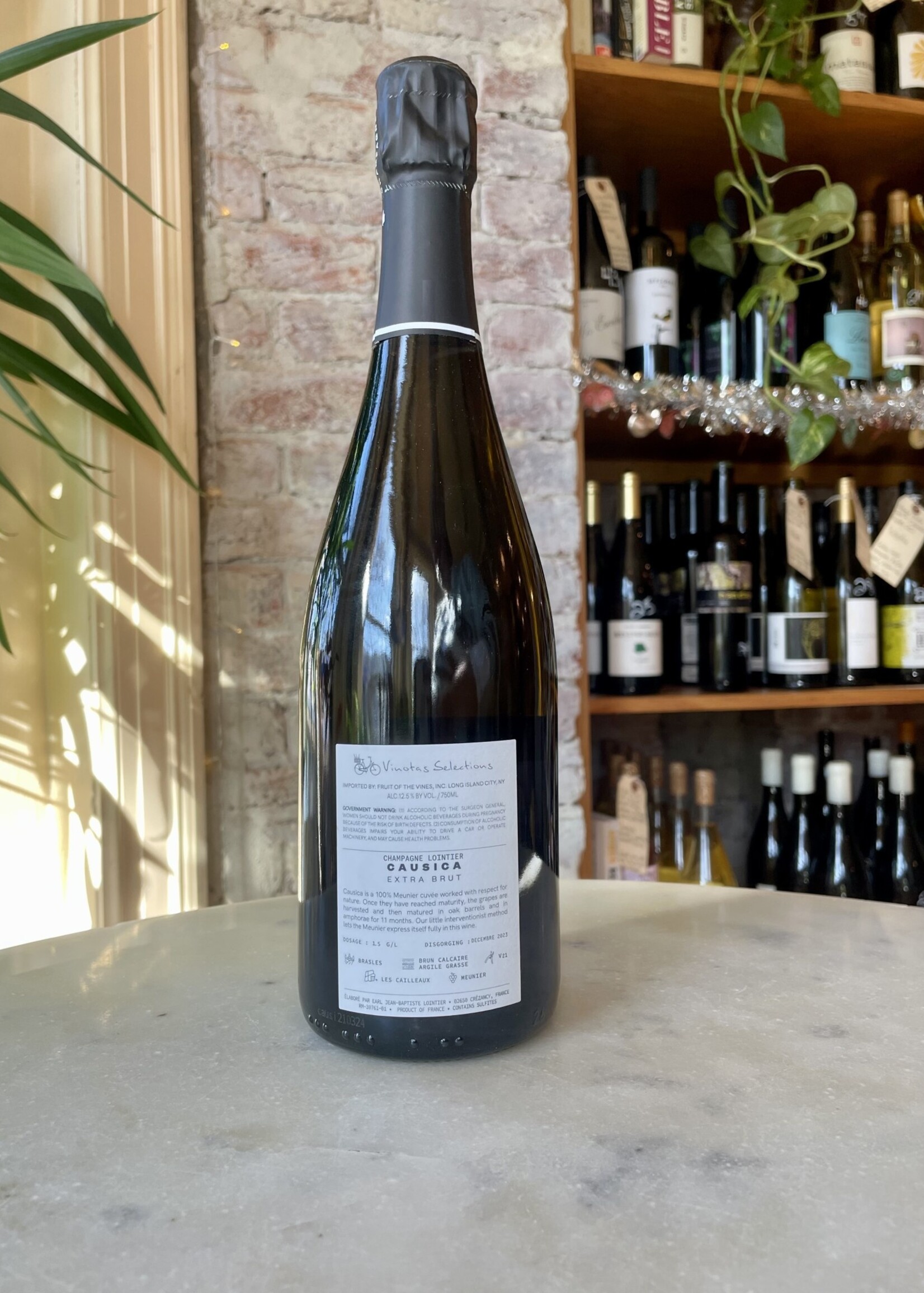 Champagne Lointier, Causica Extra Brut, Champagne, France NV