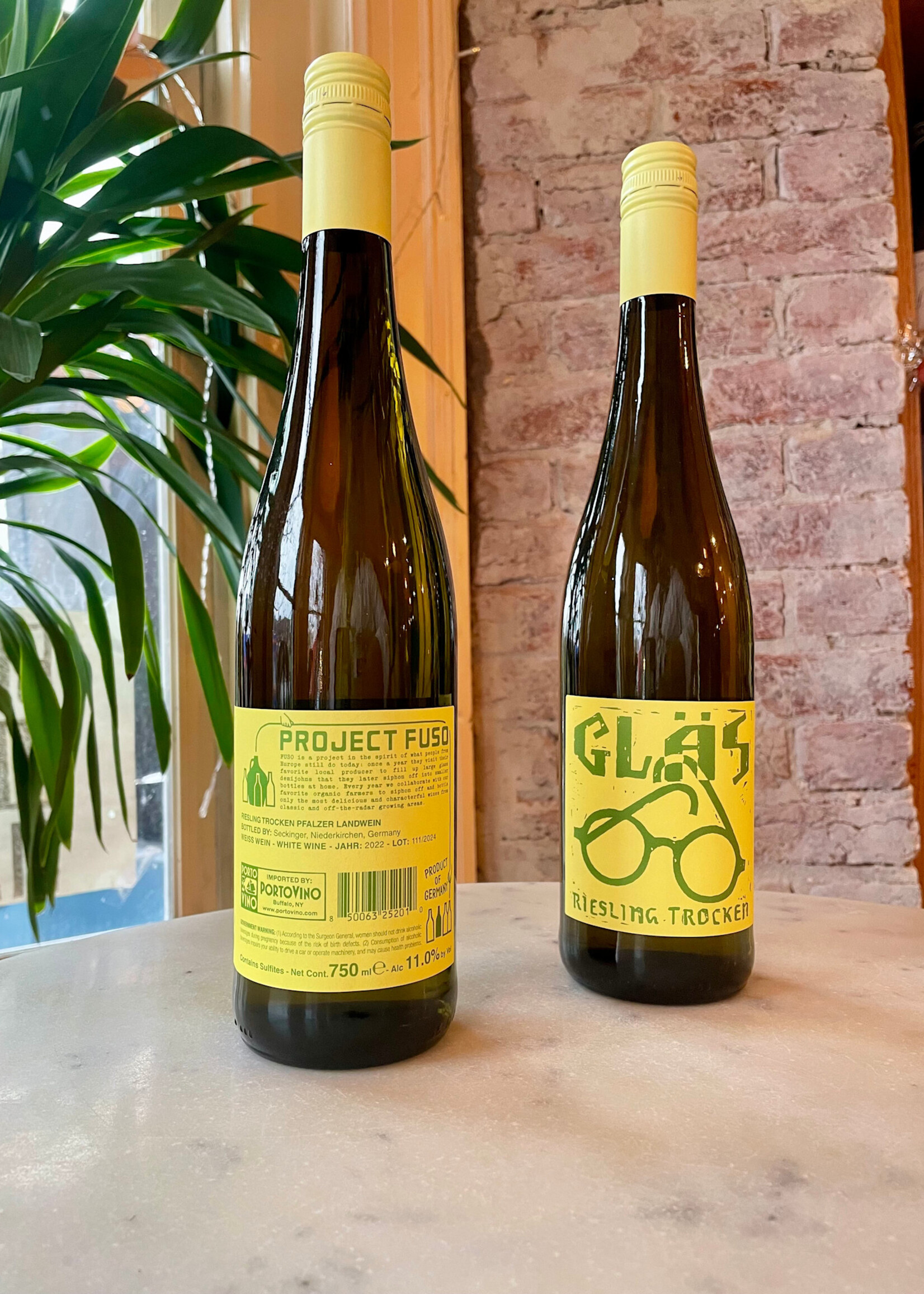 FUSO+ Jonas Seckinger, GLAS Riesling Trocken, Pfalz, Germany 2022