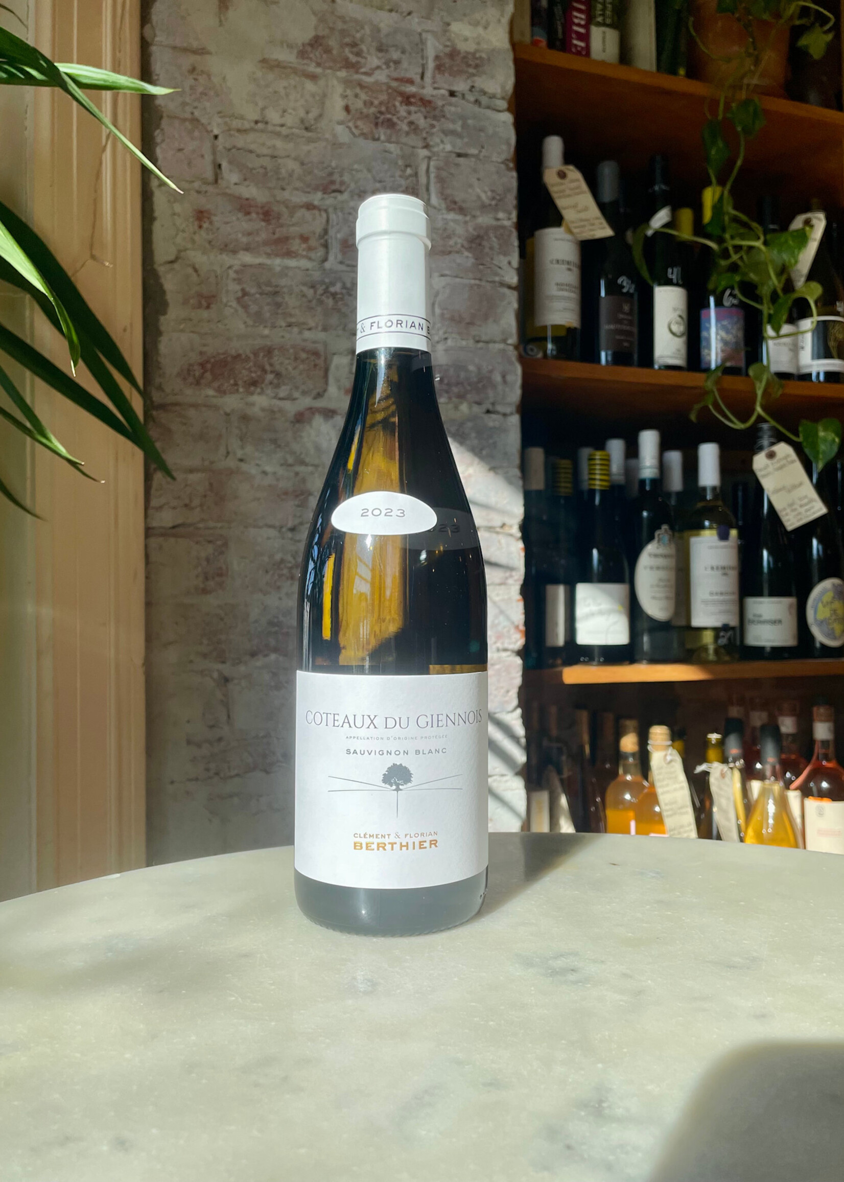 Clement & Florian Berthier, Coteaux Giennois Blanc, Loire, France 2024