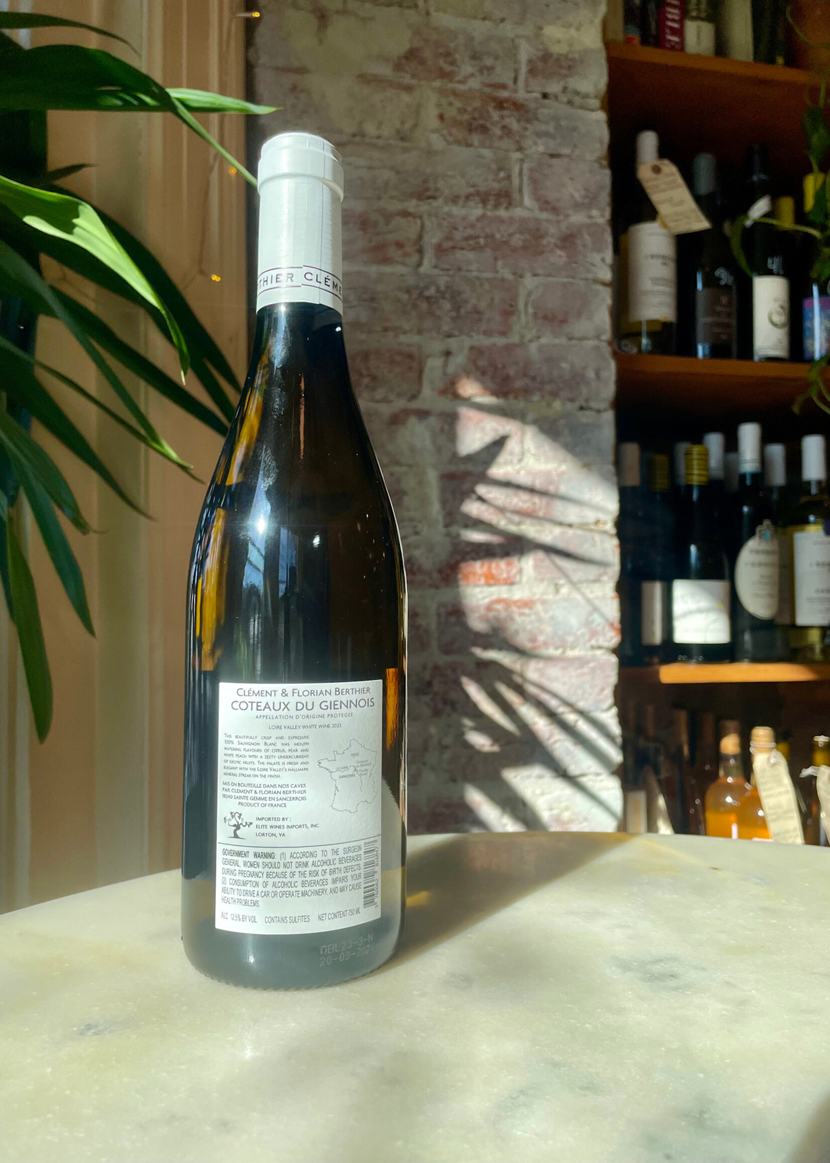 Clement & Florian Berthier, Coteaux Giennois Blanc, Loire, France 2024