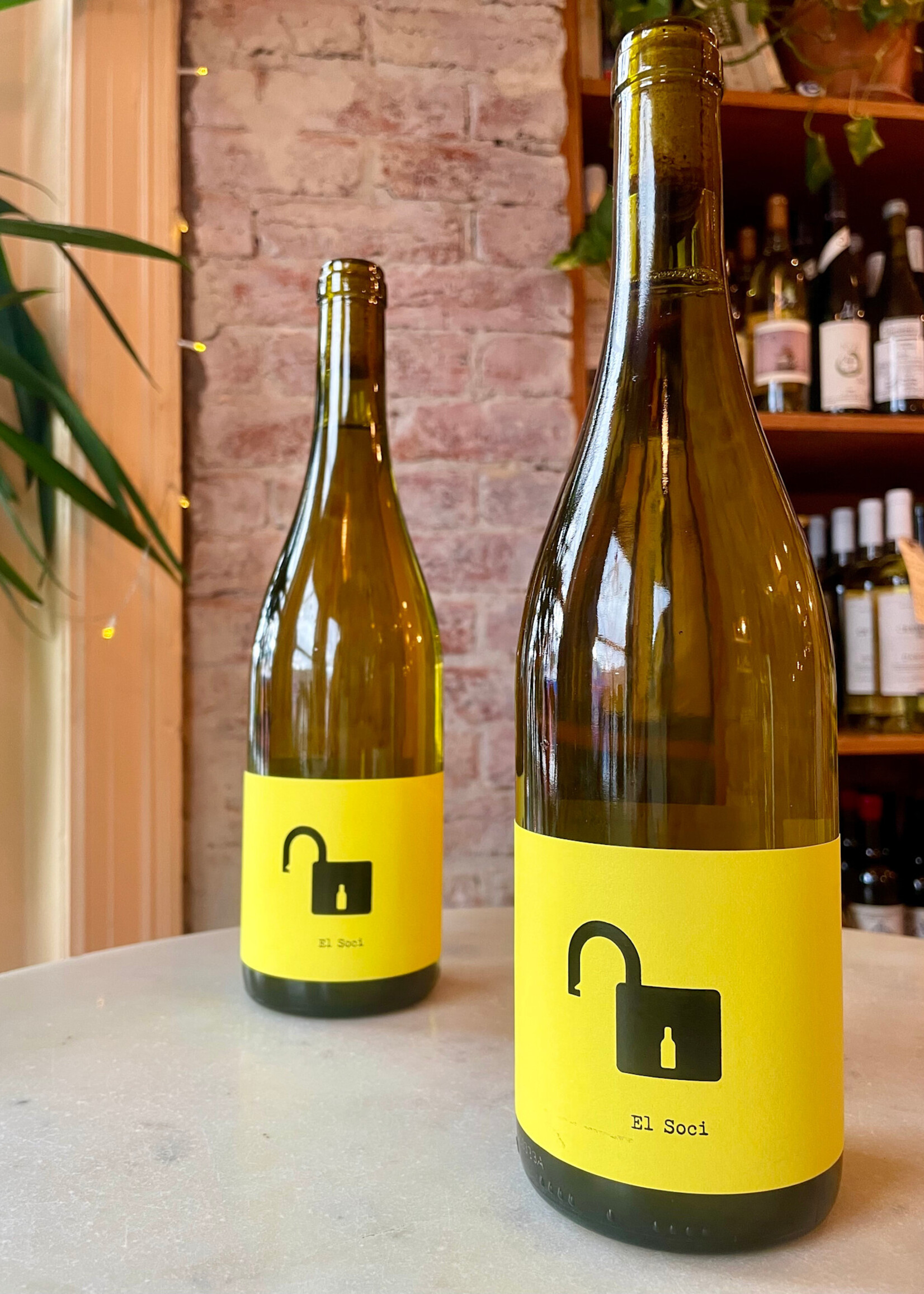 Bodega Clandestina, El Soci, Penedès, Catalonia, Spain  2024