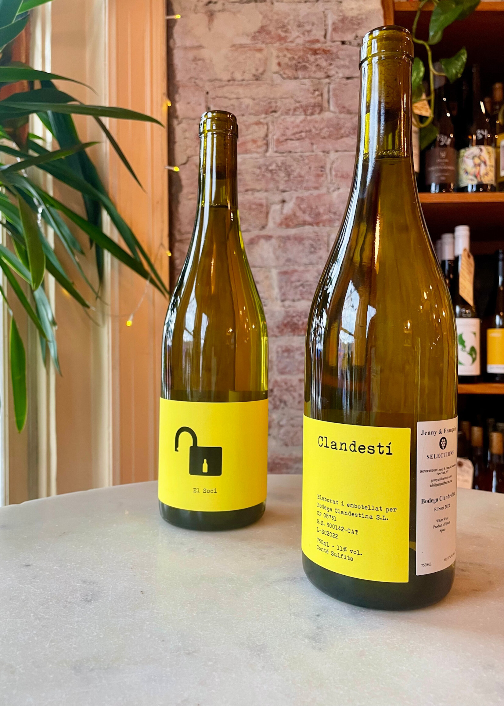 Bodega Clandestina, El Soci, Penedès, Catalonia, Spain  2024