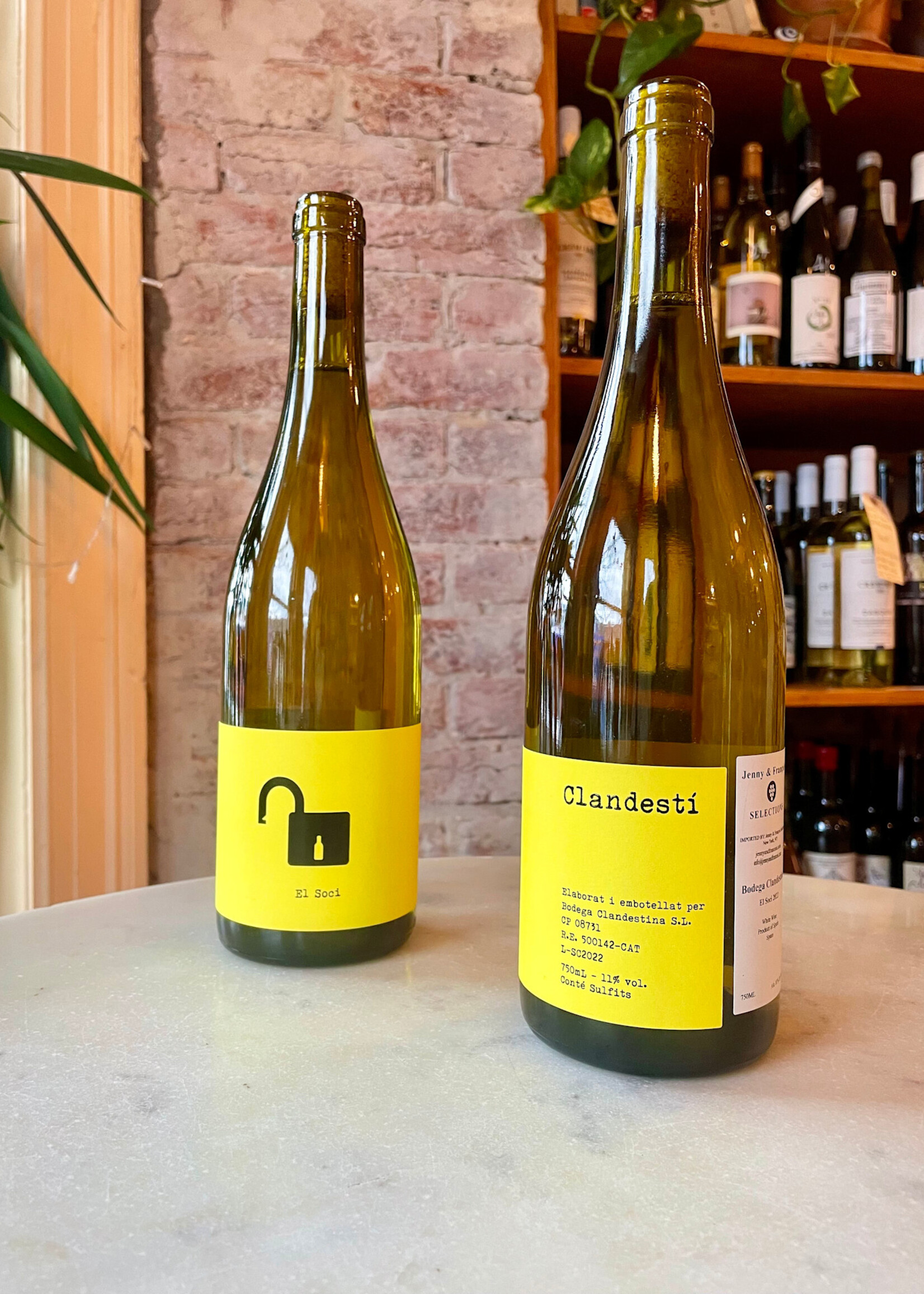 Bodega Clandestina, El Soci, Penedès, Catalonia, Spain  2024