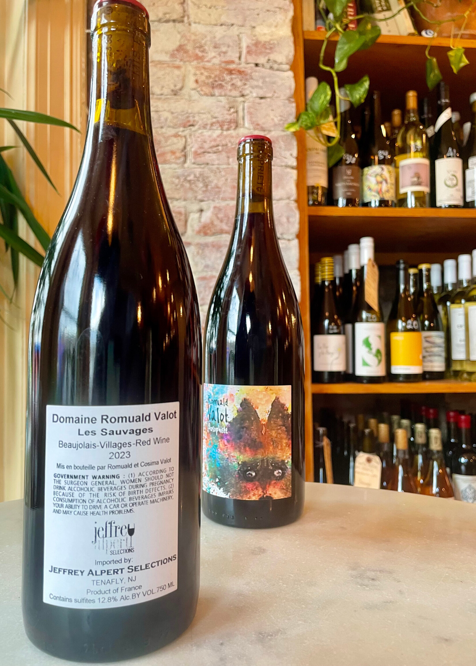 Romuald Valot, Les Sauvages, Beaujolais-Village, France 2023