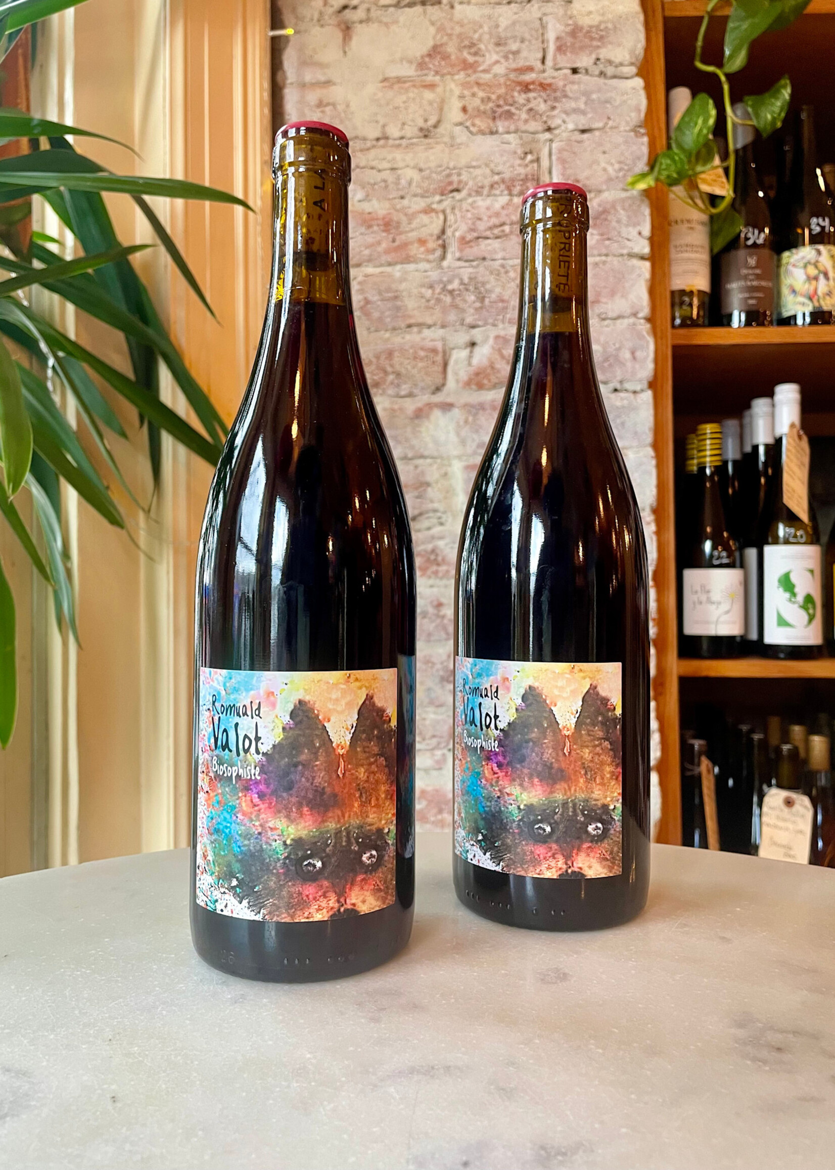 Romuald Valot, Les Sauvages, Beaujolais-Village, France 2023