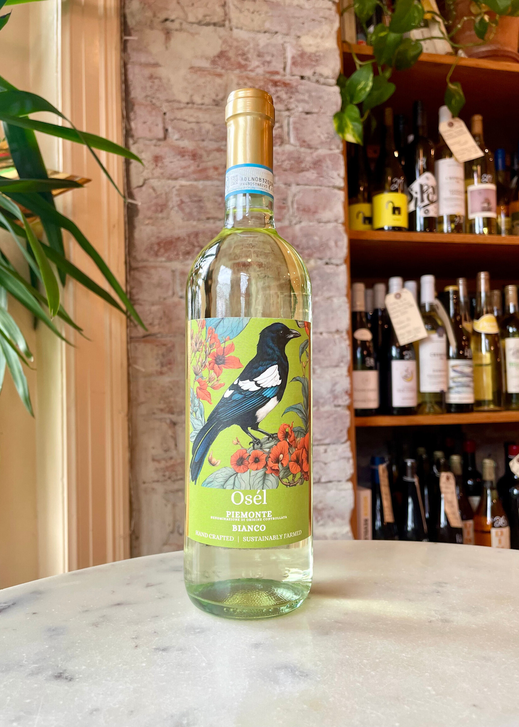 Donostia Osél Piemonte Bianco DOC Piemonte, Italy 2023