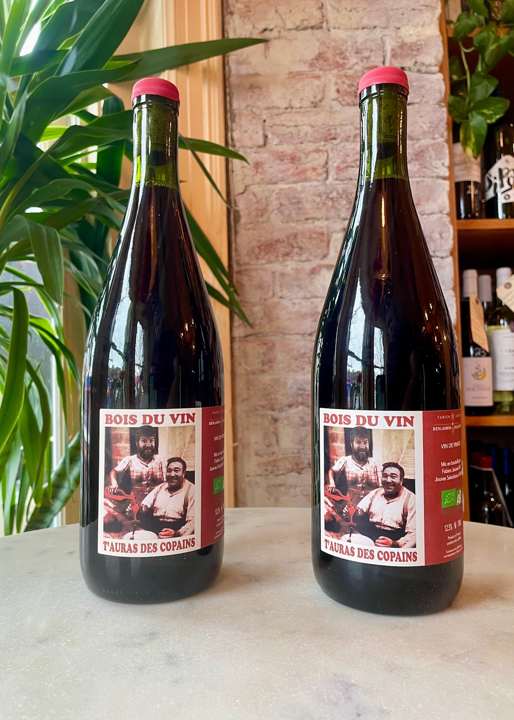 Fabien Jouves, Bois du Vin T’auras Des Copains LITER, Sud-Ouest, France 2022