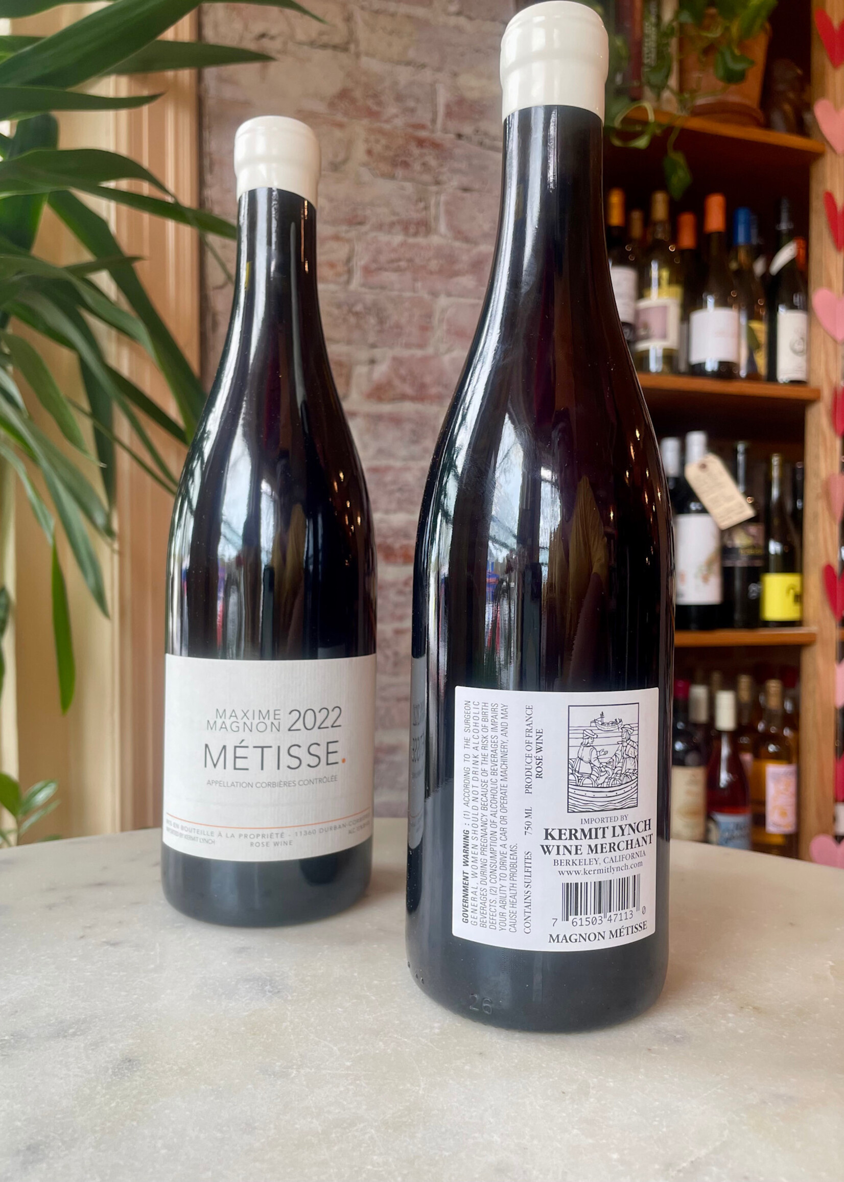 Maxime Magnon, Métisse, Corbières, France 2022