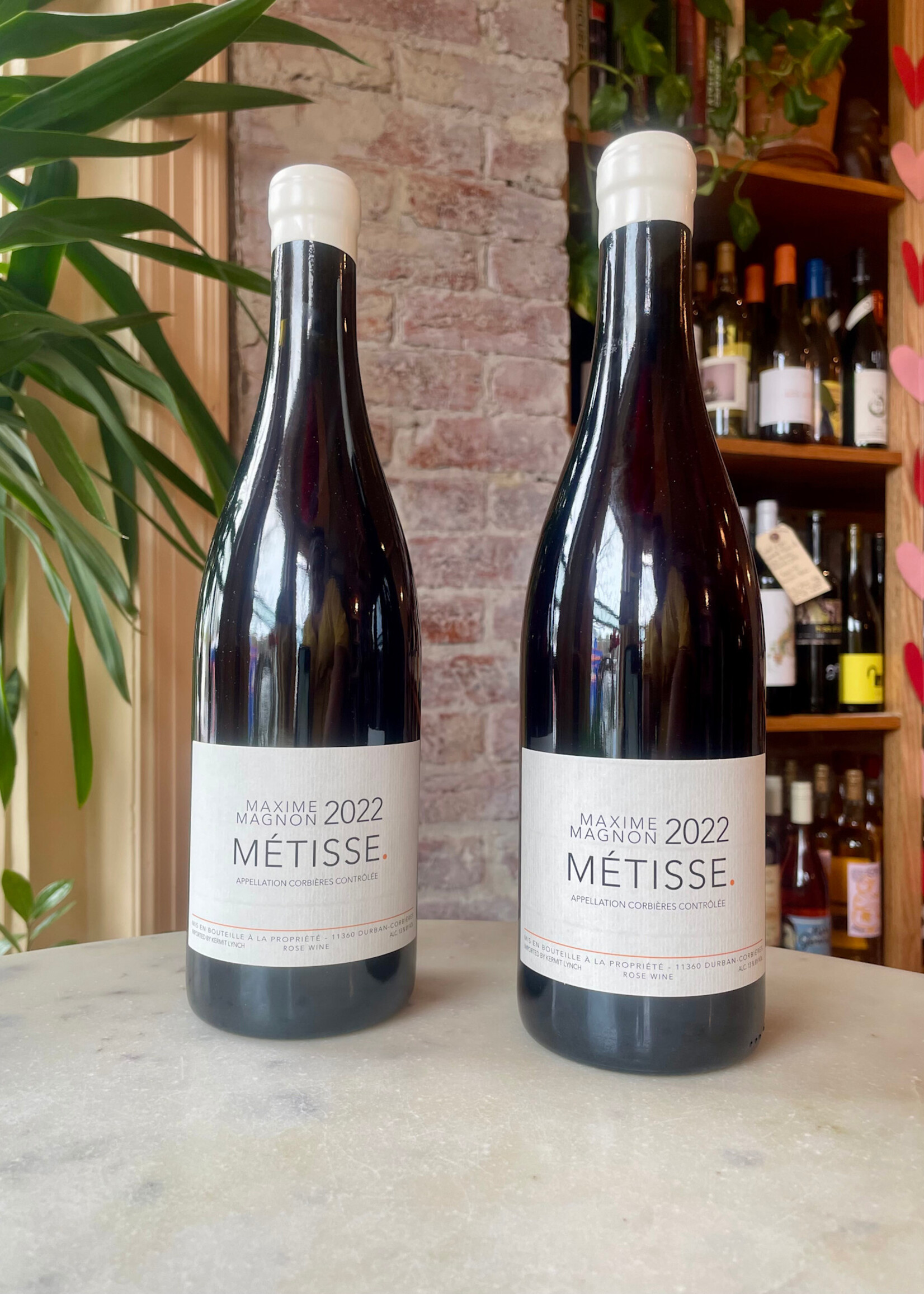 Maxime Magnon, Métisse, Corbières, France 2022