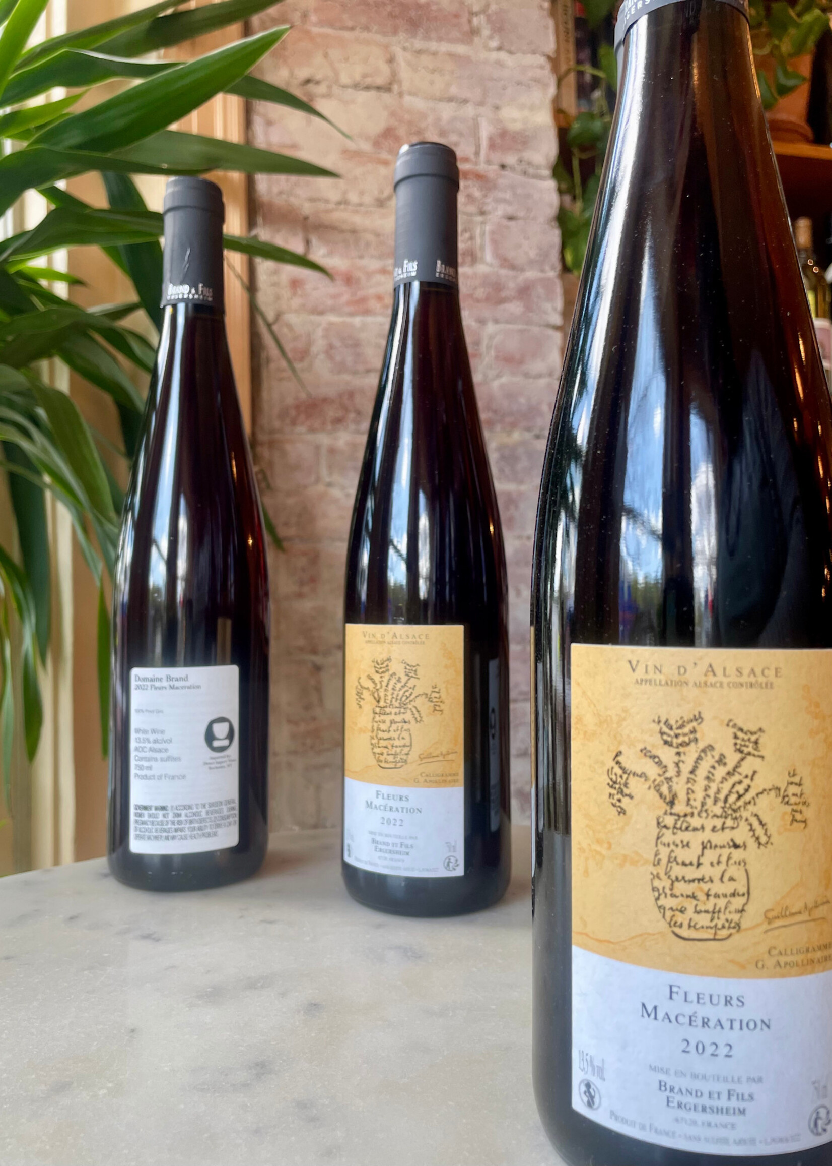 Domaine Brand & Fils, Fleur Macération, Gewürztraminer, Alsace, France 2022