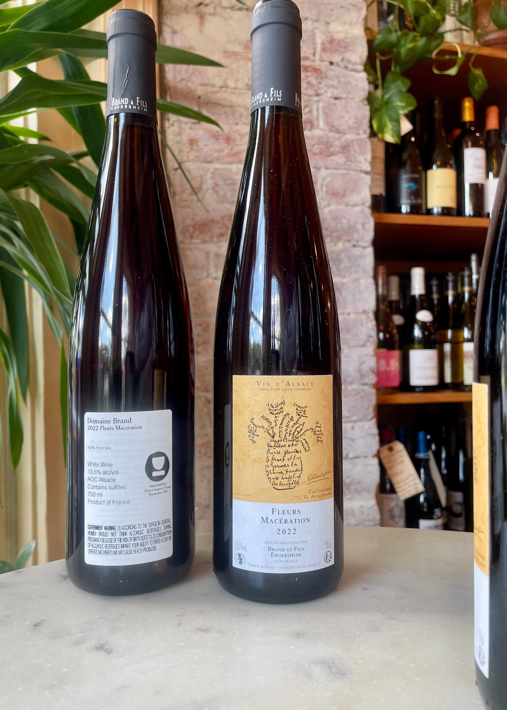 Domaine Brand & Fils, Fleur Macération, Gewürztraminer, Alsace, France 2022