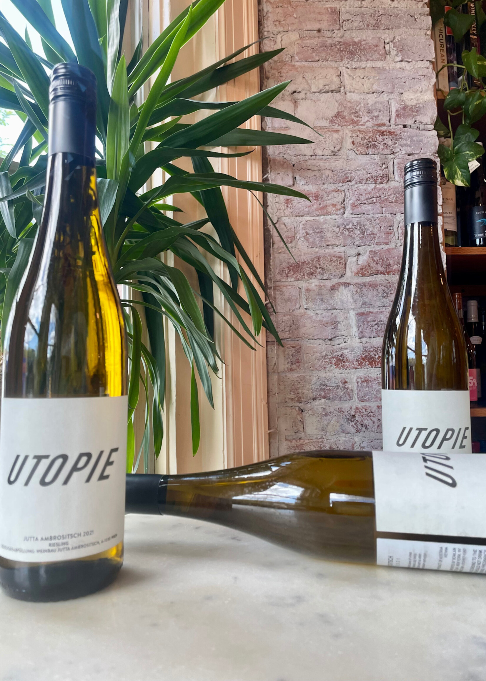 Ambrositsch Riesling UTOPIE, Vienna, Austria 2021