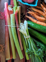 Rhubarb (1#)