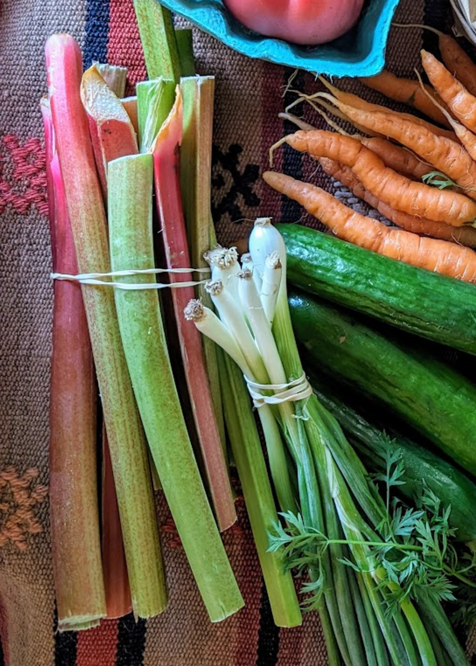 Rhubarb (1#)