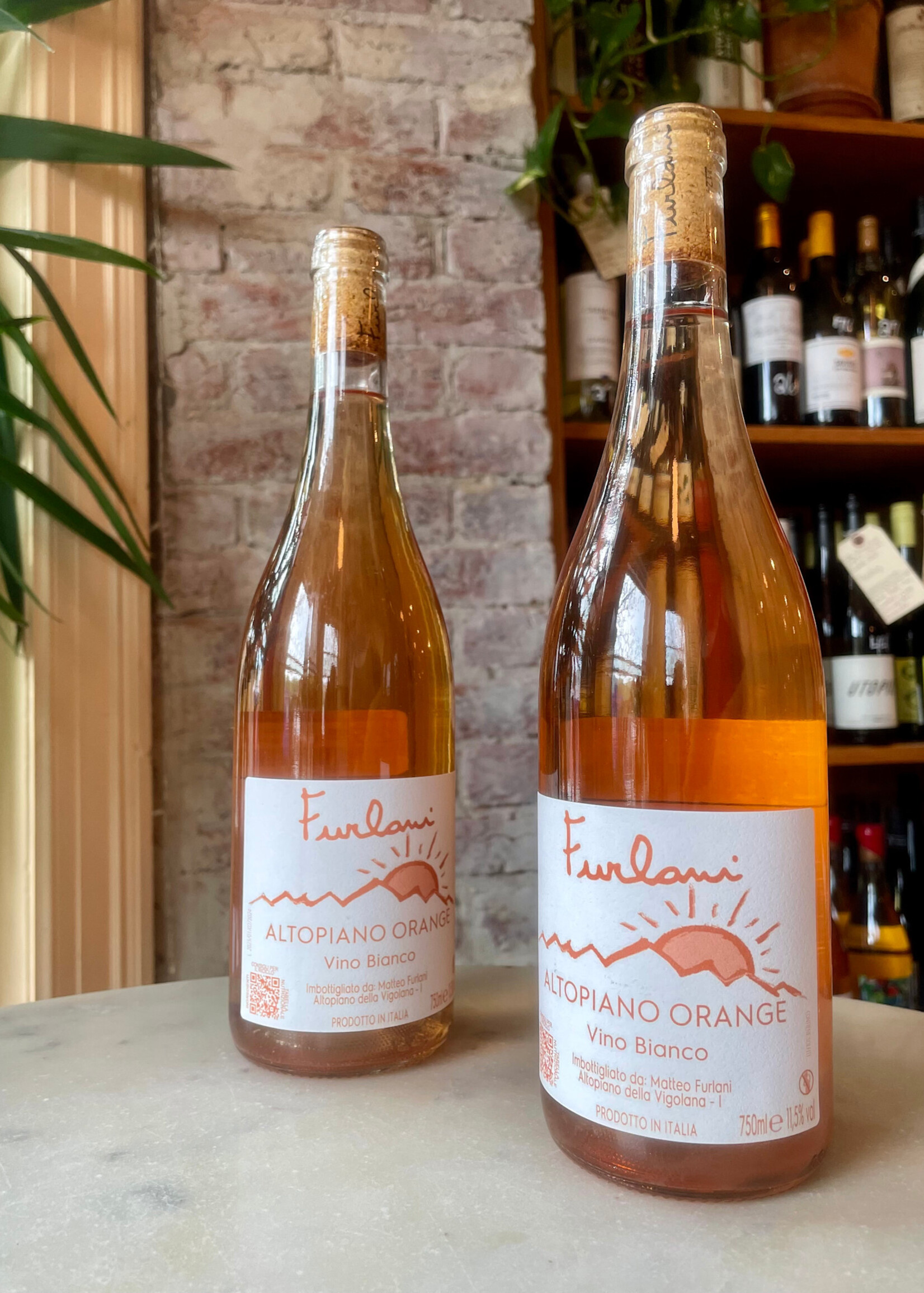 Cantina Furlani Altopiano Orange, Italy 2023