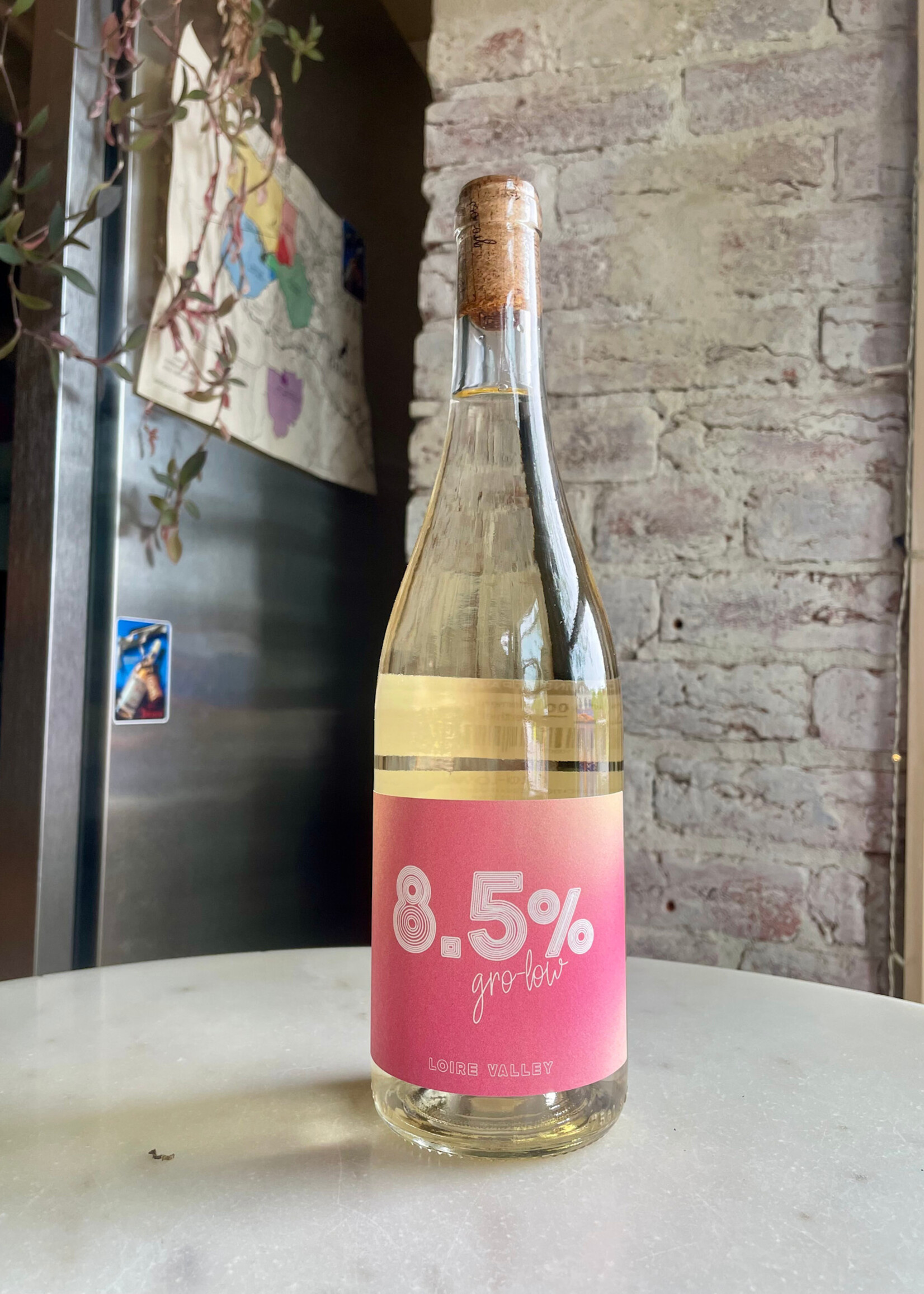 Clement & Florian Berthier, 8.5% Gro-Low, Loire, France 2023