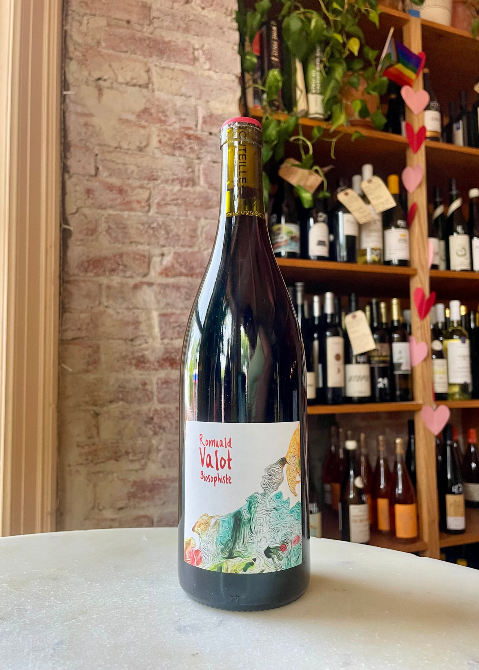 Romuald Valot, Brouilly, Beaujolais, France 2023