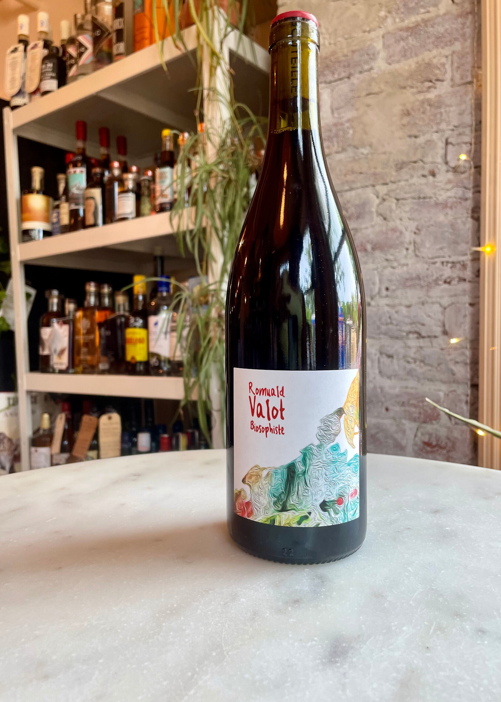 Romuald Valot, Brouilly, Beaujolais, France 2023