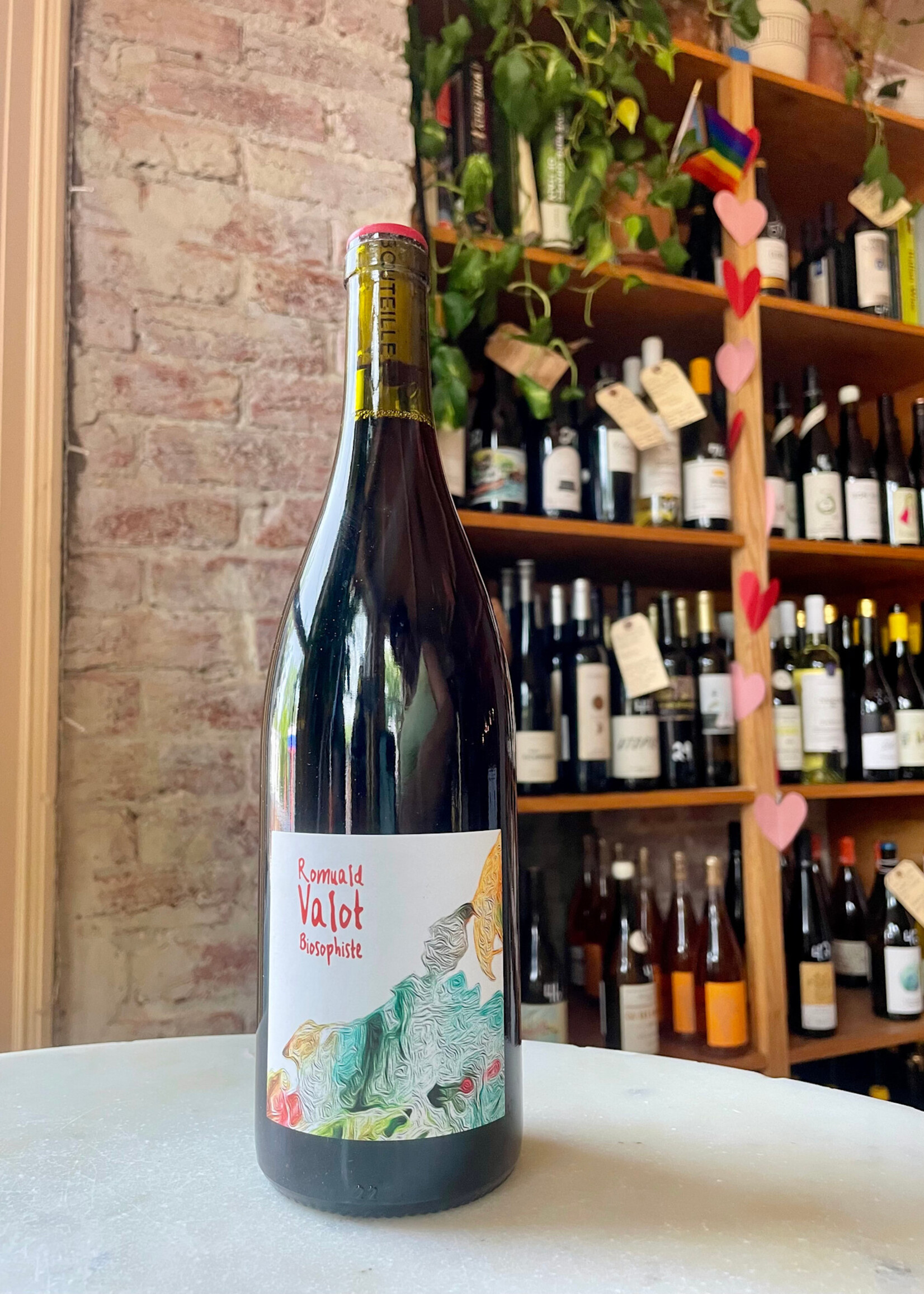 Romuald Valot, Brouilly, Beaujolais, France 2023