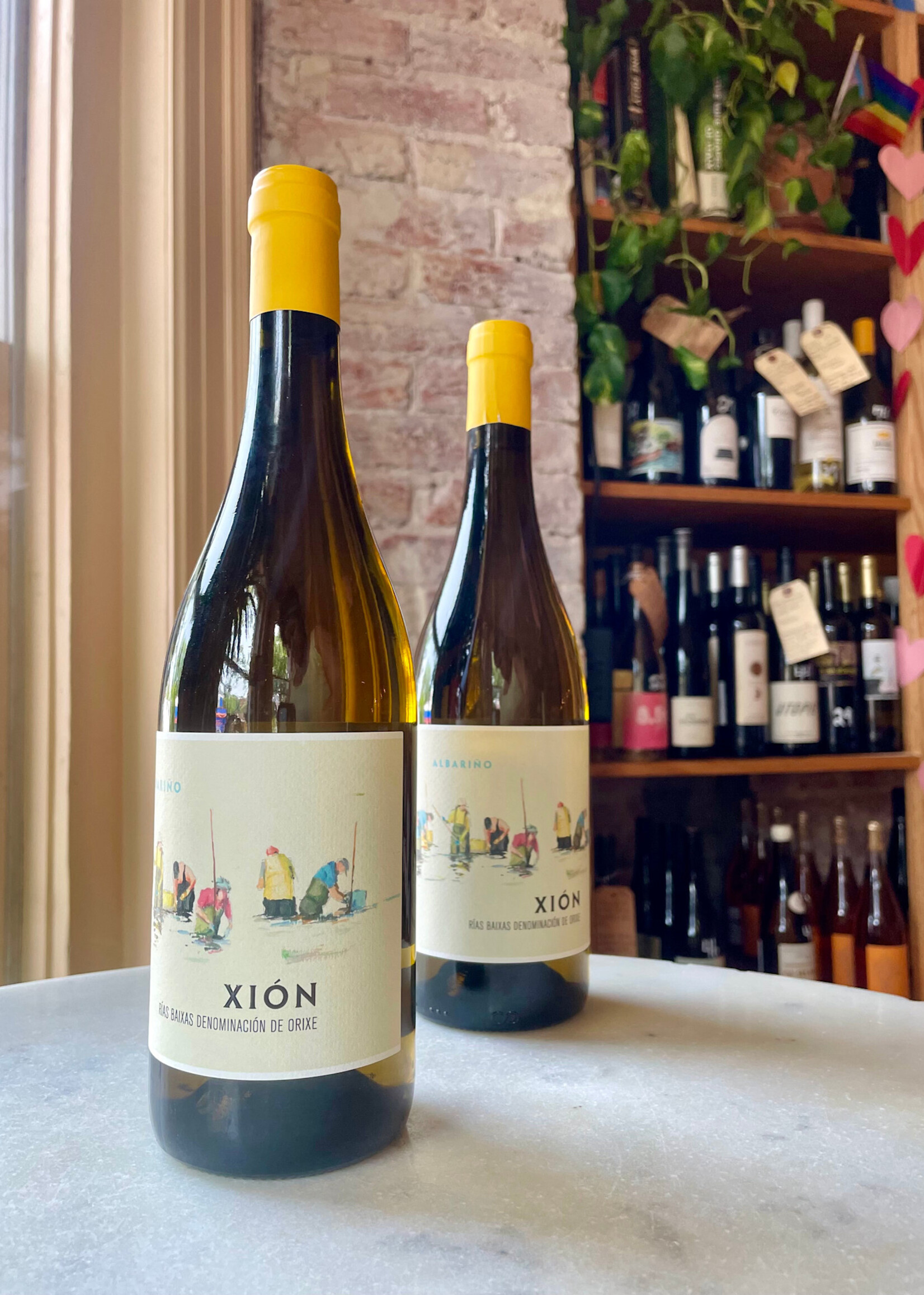 Bodega Attis, Xion, Rias Baixas, Spain 2024