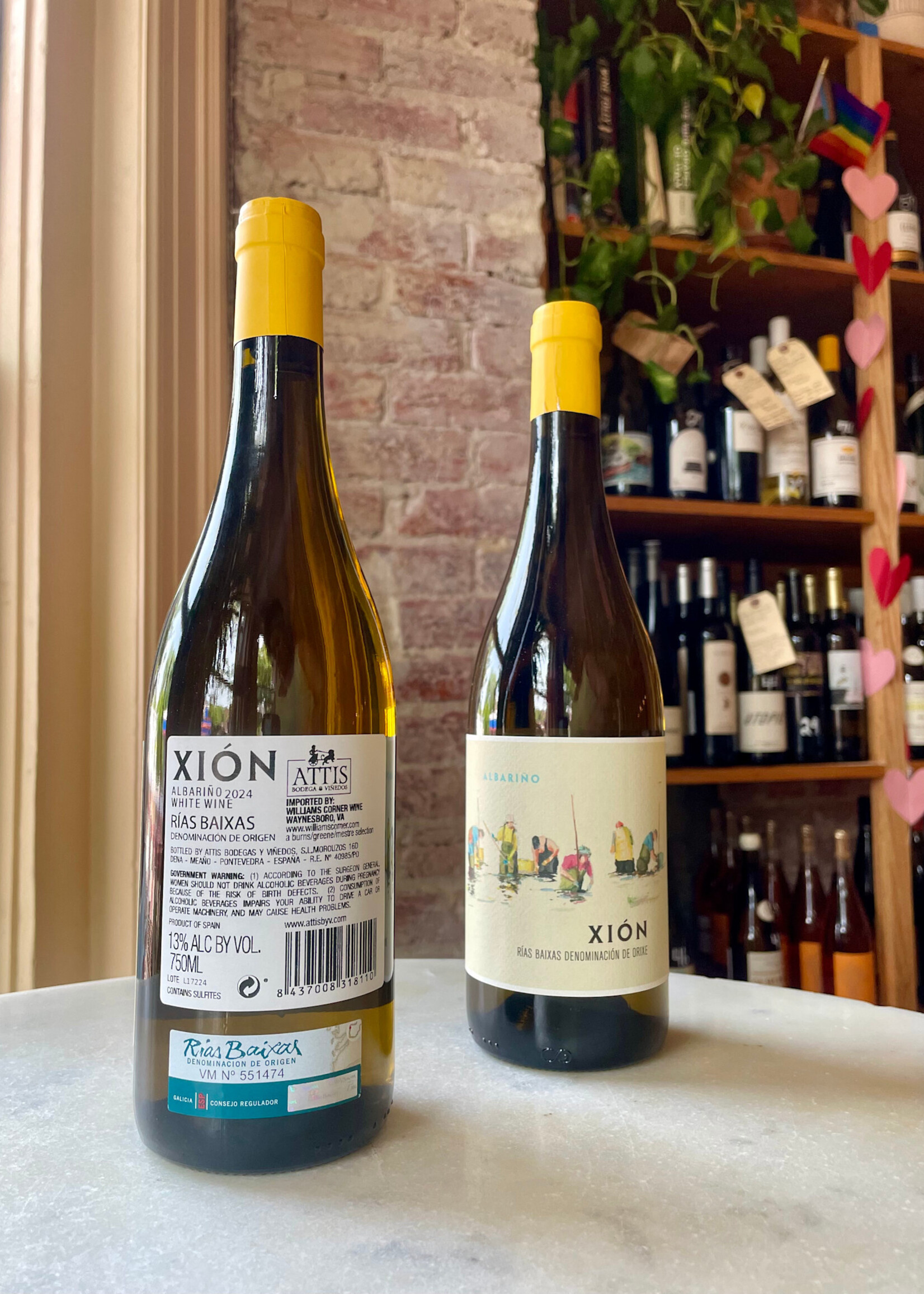 Bodega Attis, Xion, Rias Baixas, Spain 2024