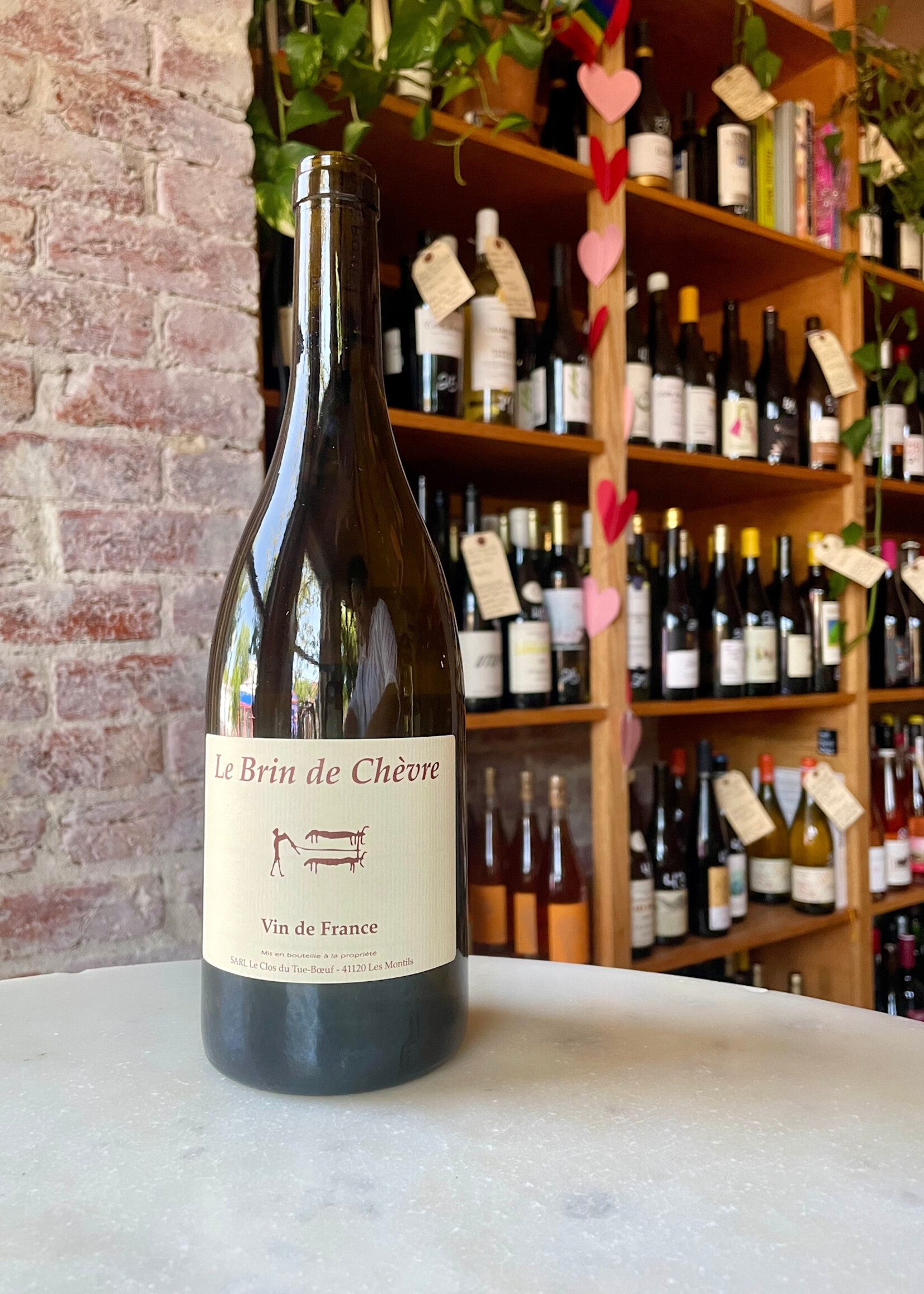 Clos du Tue-Boeuf, Brin de Chevre, Touraine, France 2022