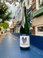 Stein Riesling Feinburg ‘Weihwasser’ Germany 2024