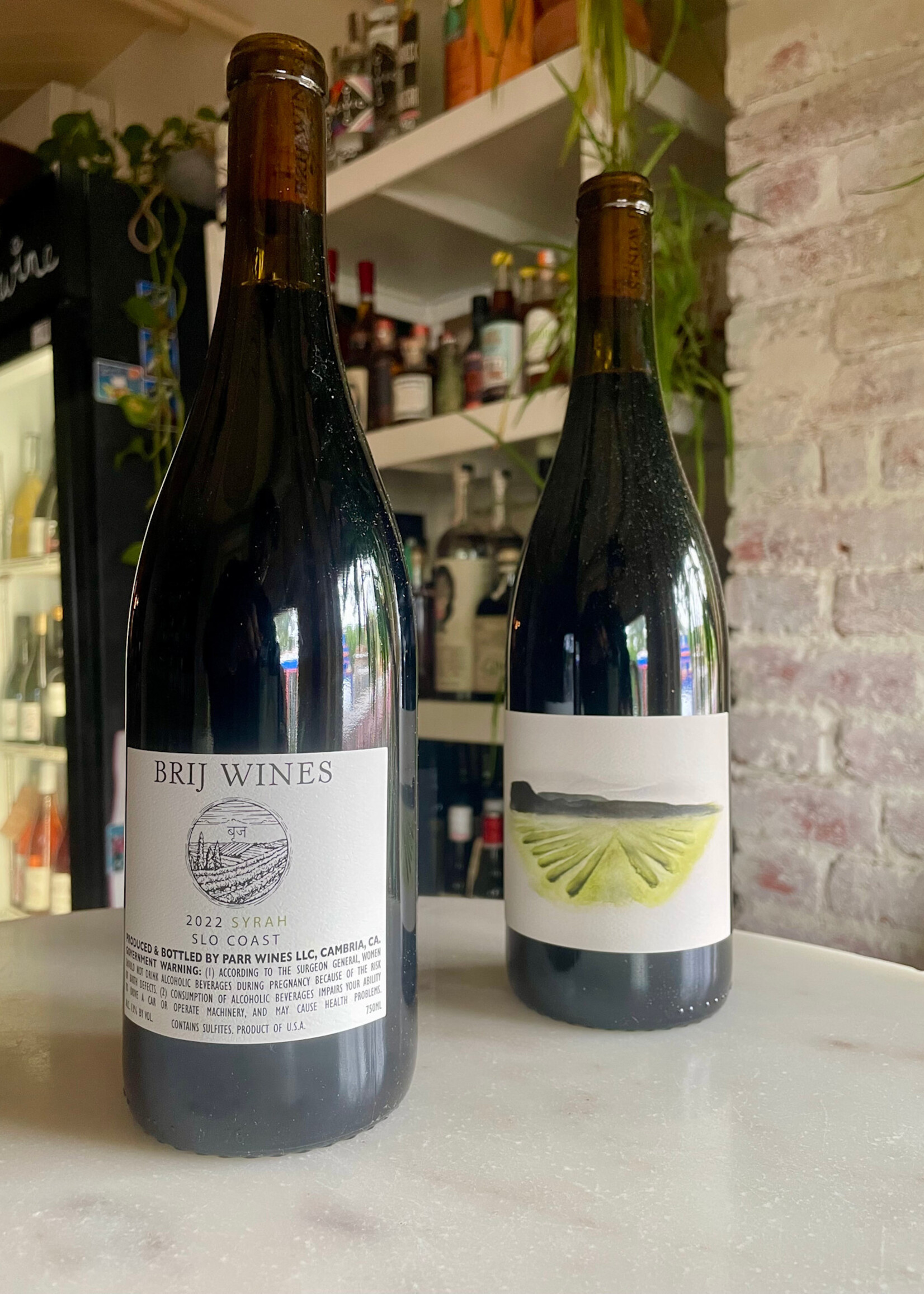 Brij Wines, Syrah, Phelan Farm, Cambria, California 2022
