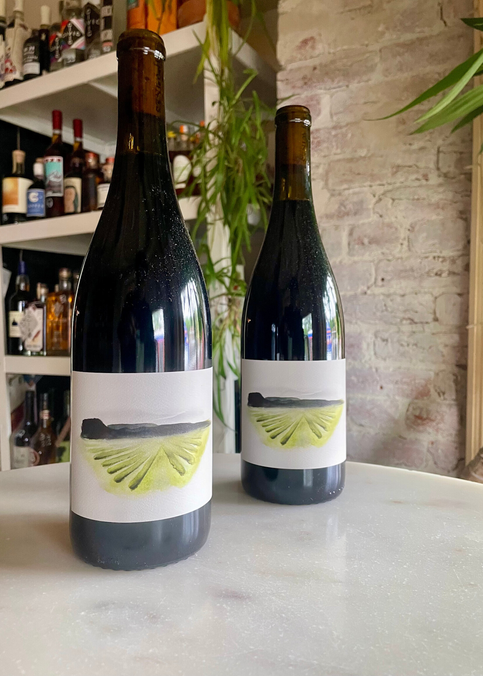 Brij Wines, Syrah, Phelan Farm, Cambria, California 2022